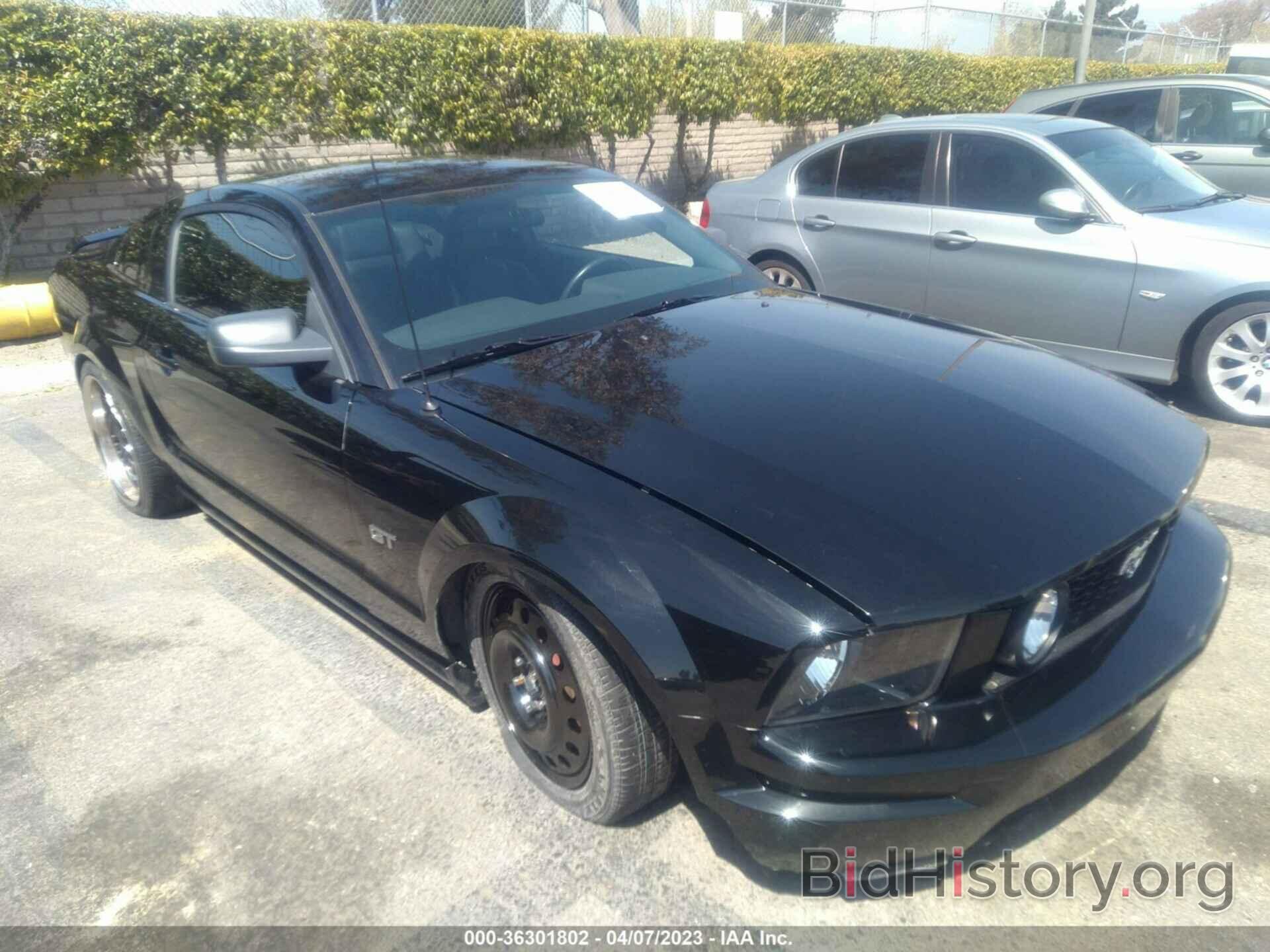 Photo 1ZVHT82H165122256 - FORD MUSTANG 2006