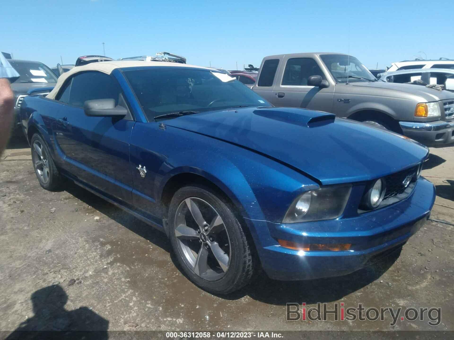 Photo 1ZVHT85H295133119 - FORD MUSTANG 2009