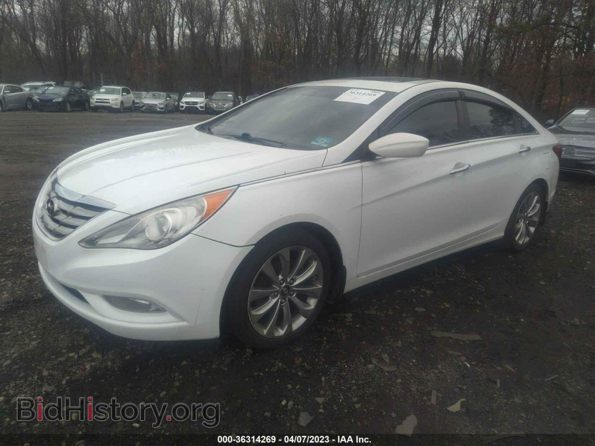 2013 HYUNDAI SONATA - VIN: 5NPEC4AC5DH778574 - Фото 2