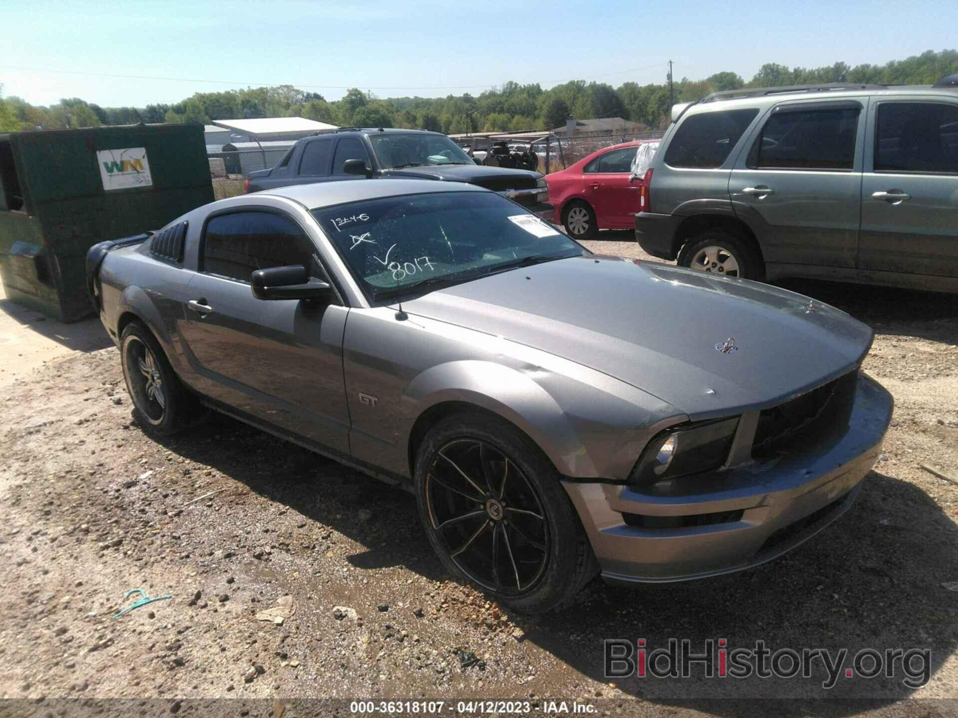 Photo 1ZVFT82HX65103485 - FORD MUSTANG 2006