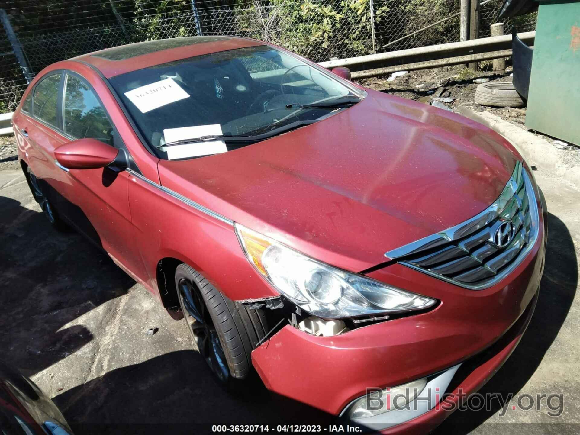 Photo 5NPEC4AC2DH784817 - HYUNDAI SONATA 2013