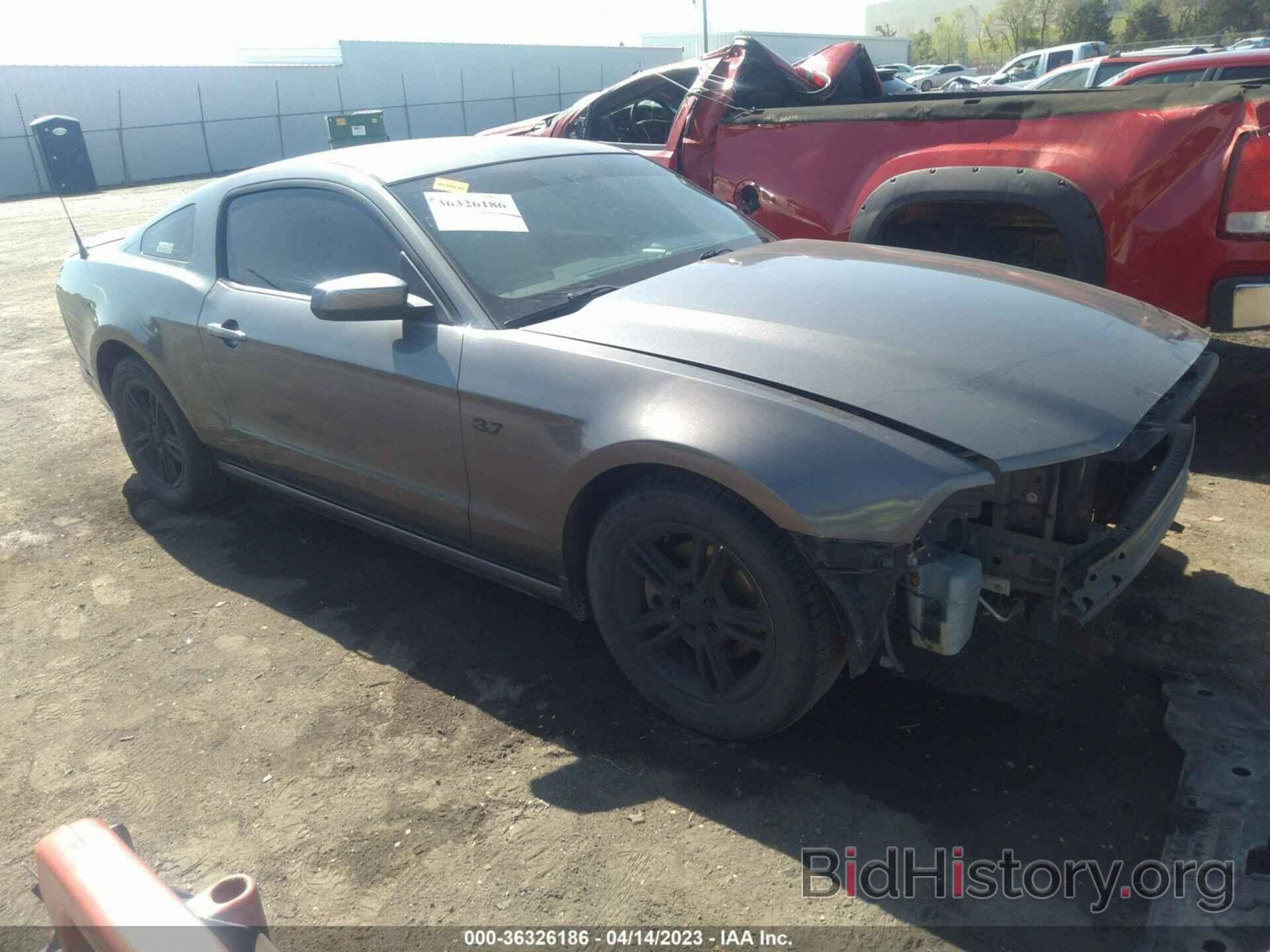 Photo 1ZVBP8AM0D5230048 - FORD MUSTANG 2013