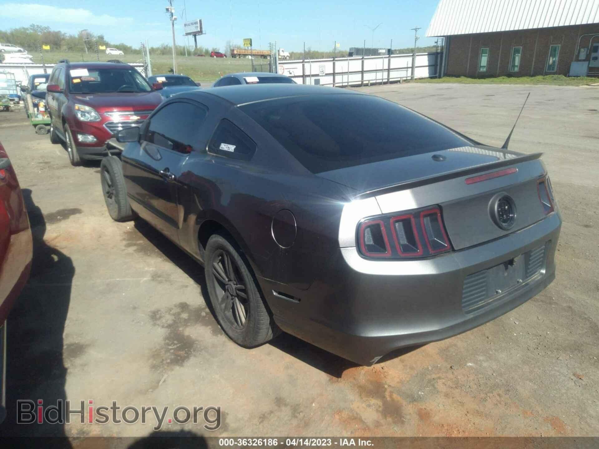 2013 FORD MUSTANG - VIN: 1ZVBP8AM0D5230048 - Фото 3