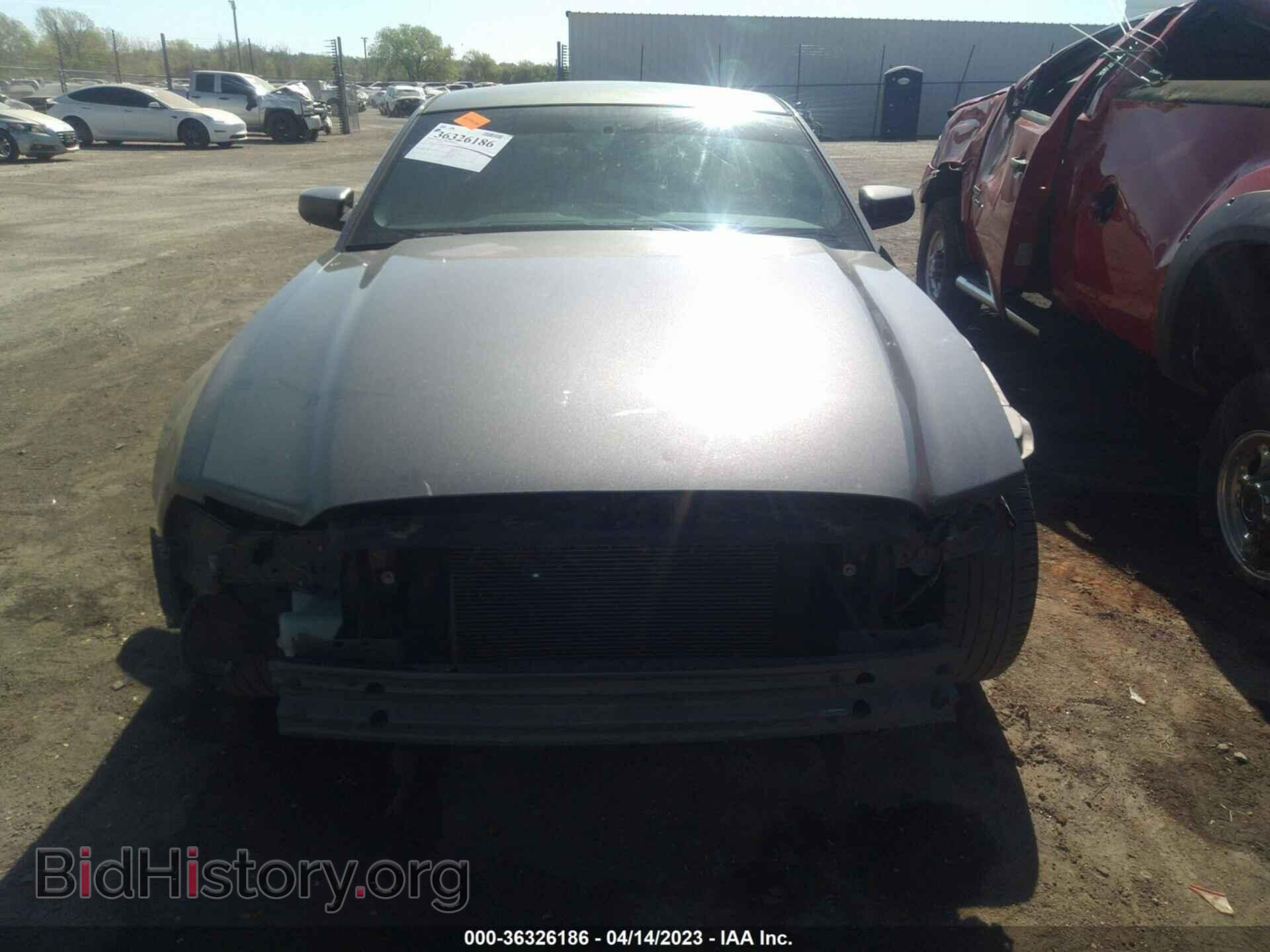 2013 FORD MUSTANG - VIN: 1ZVBP8AM0D5230048 - Фото 6