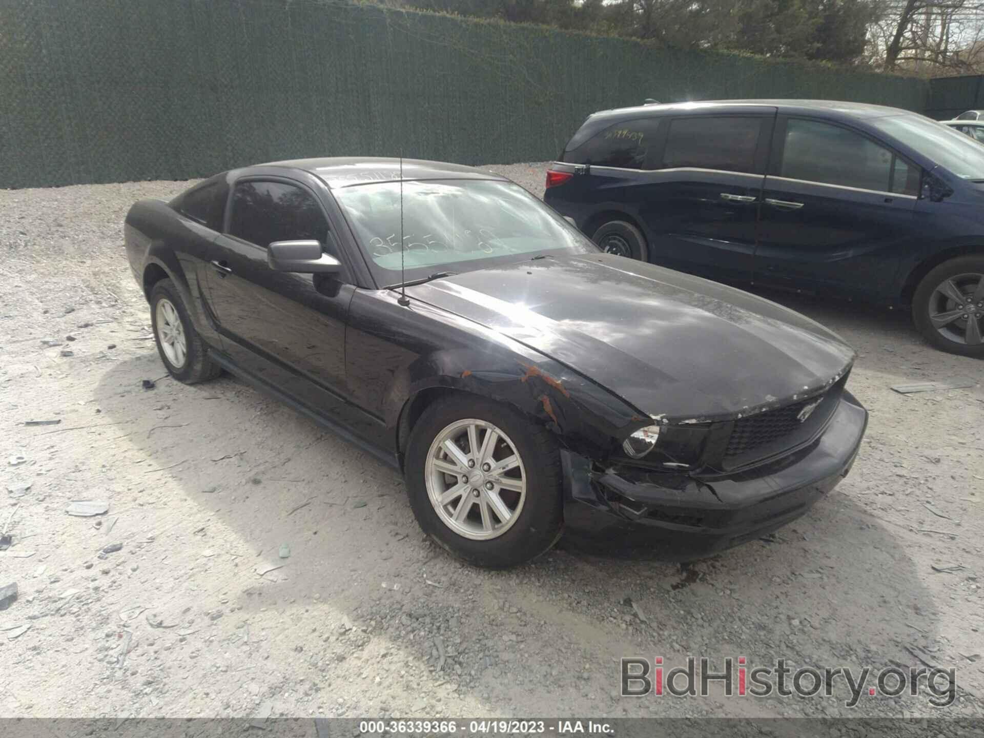Photo 1ZVHT80N285149235 - FORD MUSTANG 2008