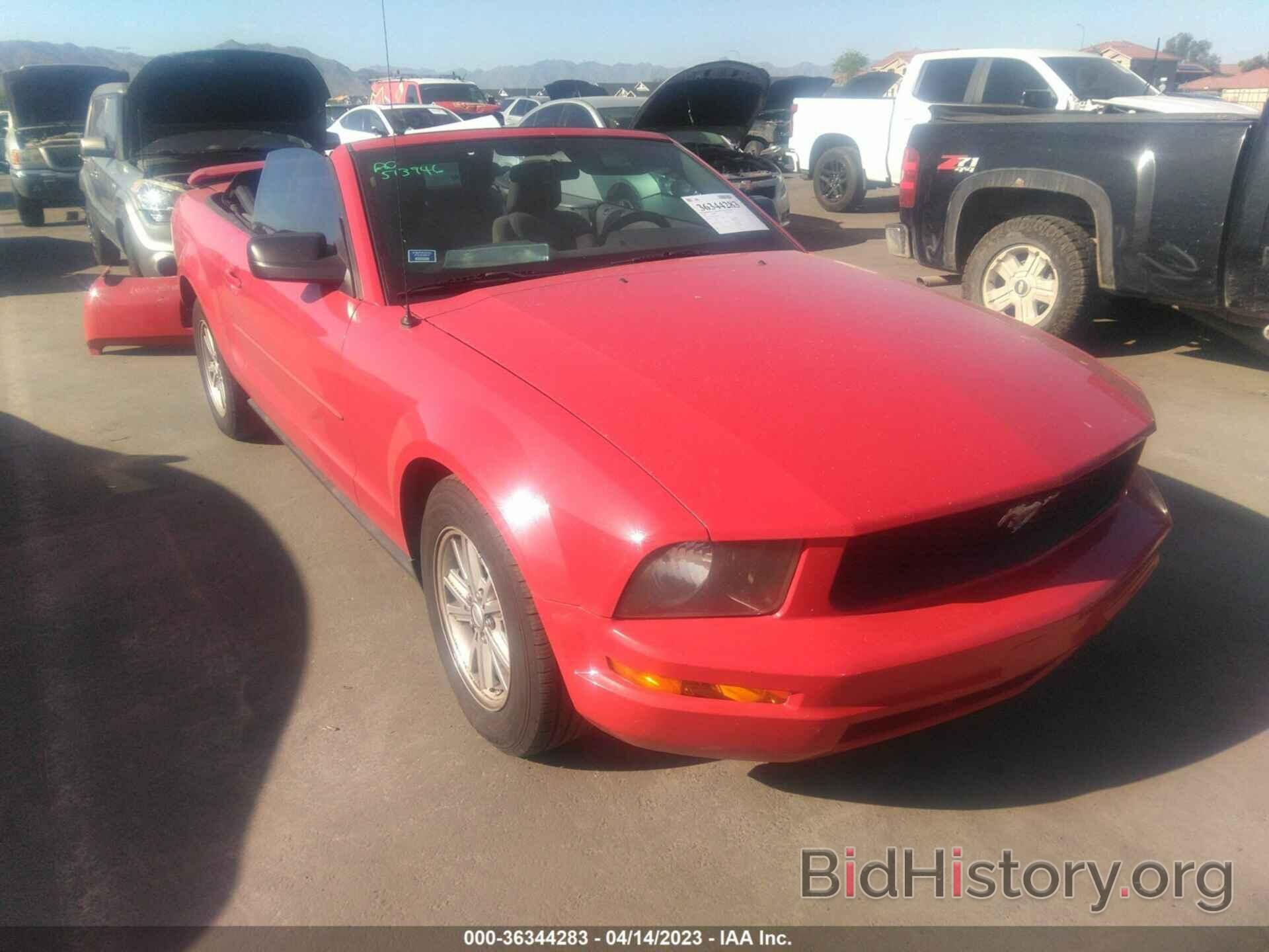 Photo 1ZVFT84N075280700 - FORD MUSTANG 2007
