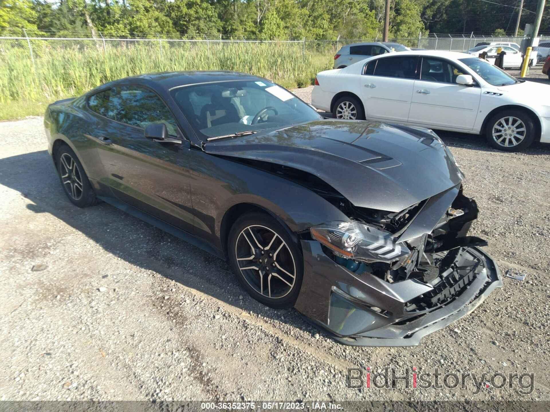 Photo 1FA6P8TH4K5133376 - FORD MUSTANG 2019