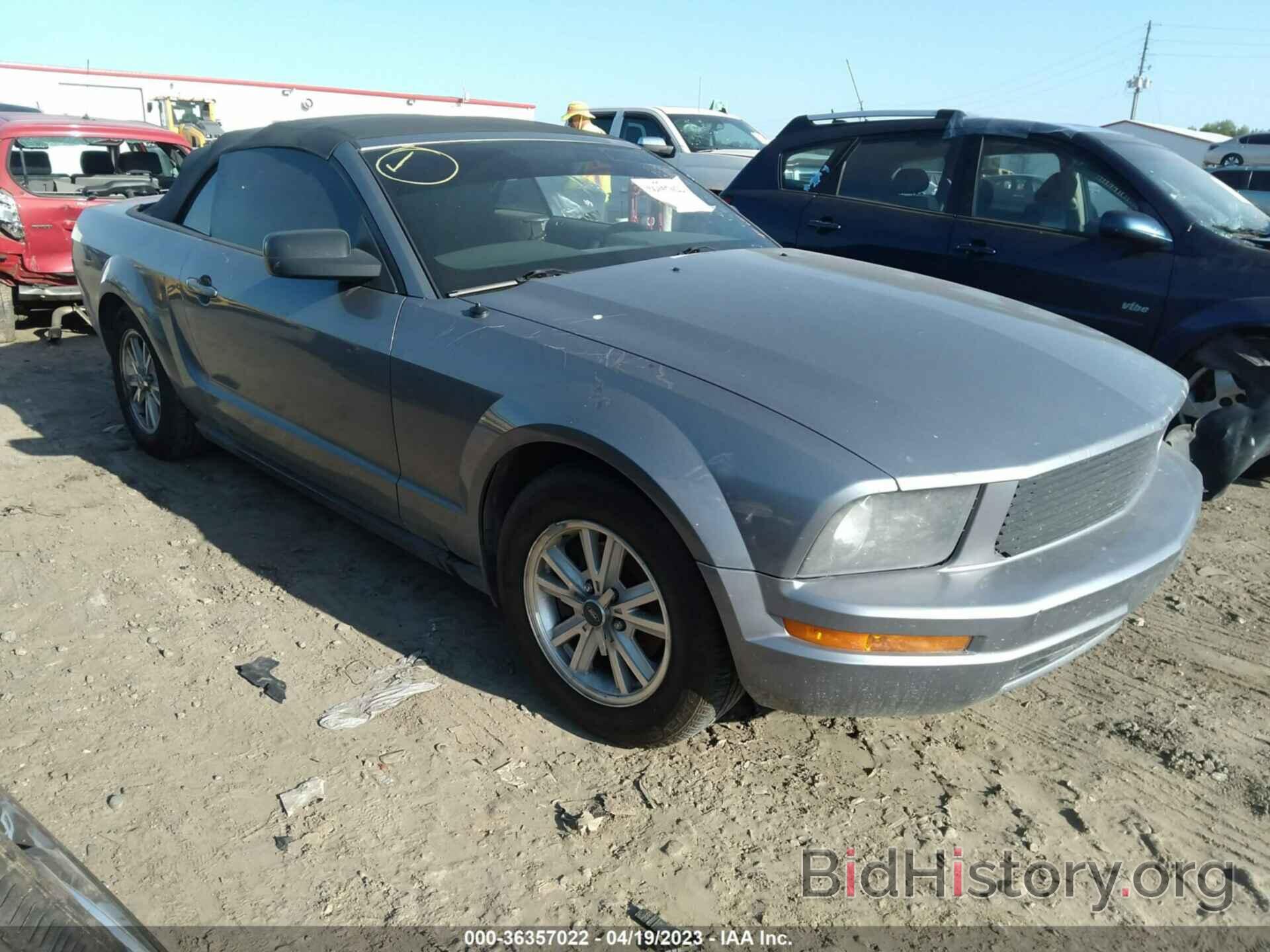 Photo 1ZVFT84N975212198 - FORD MUSTANG 2007