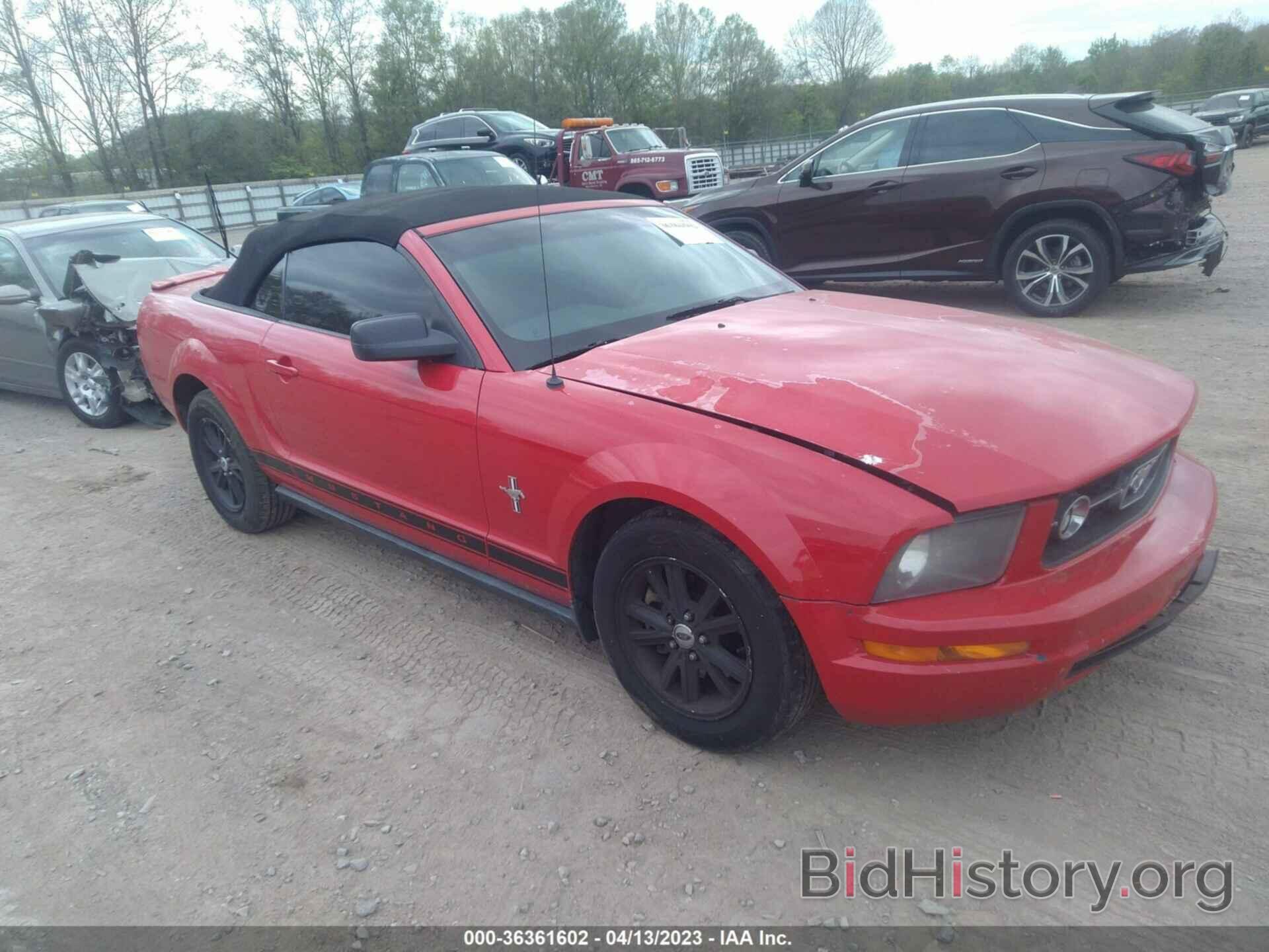 Photo 1ZVFT84N075293477 - FORD MUSTANG 2007