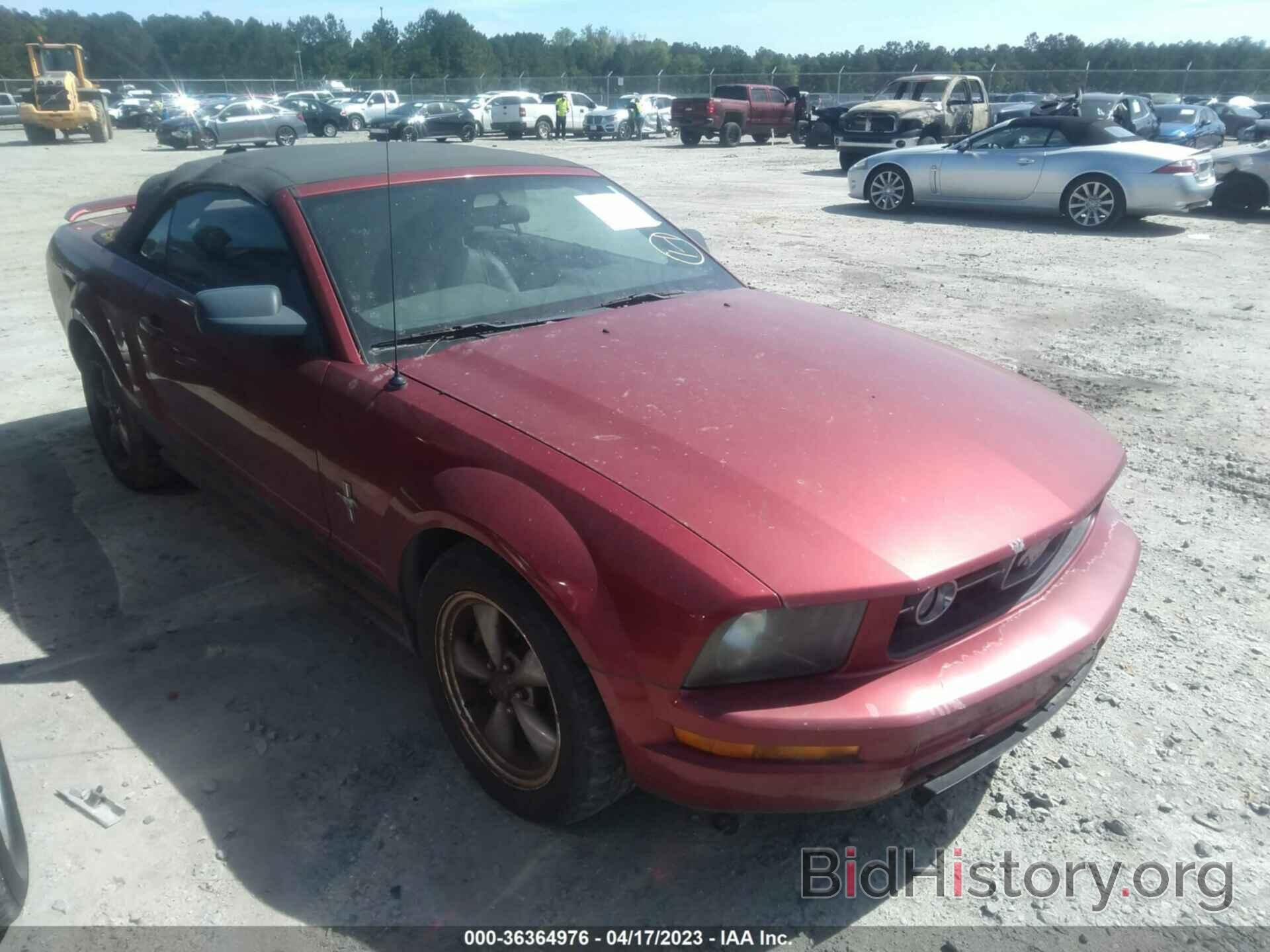 Photo 1ZVHT84N965115235 - FORD MUSTANG 2006