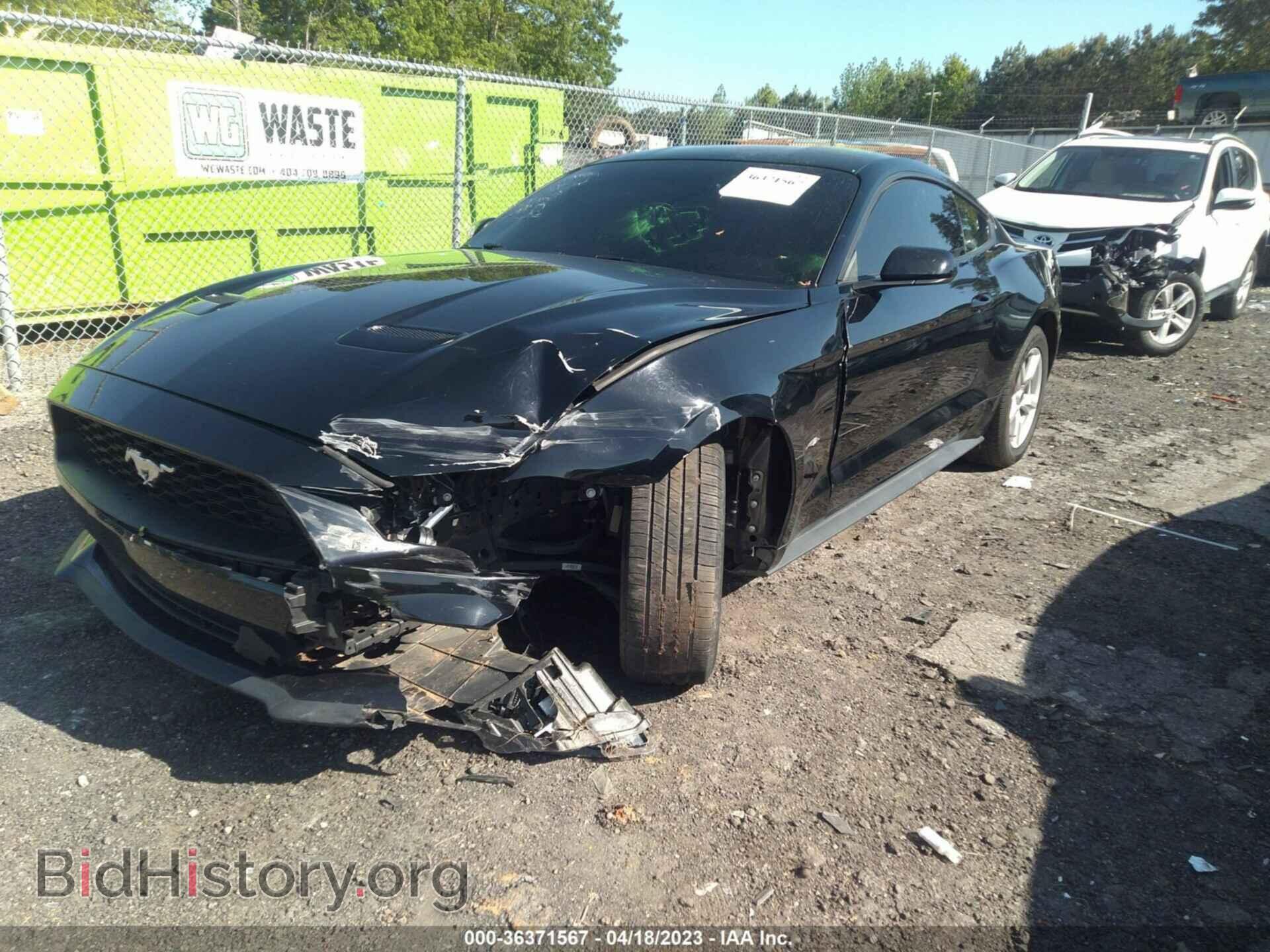 2019 FORD MUSTANG - VIN: 1FA6P8TH2K5129701 - Фото 2