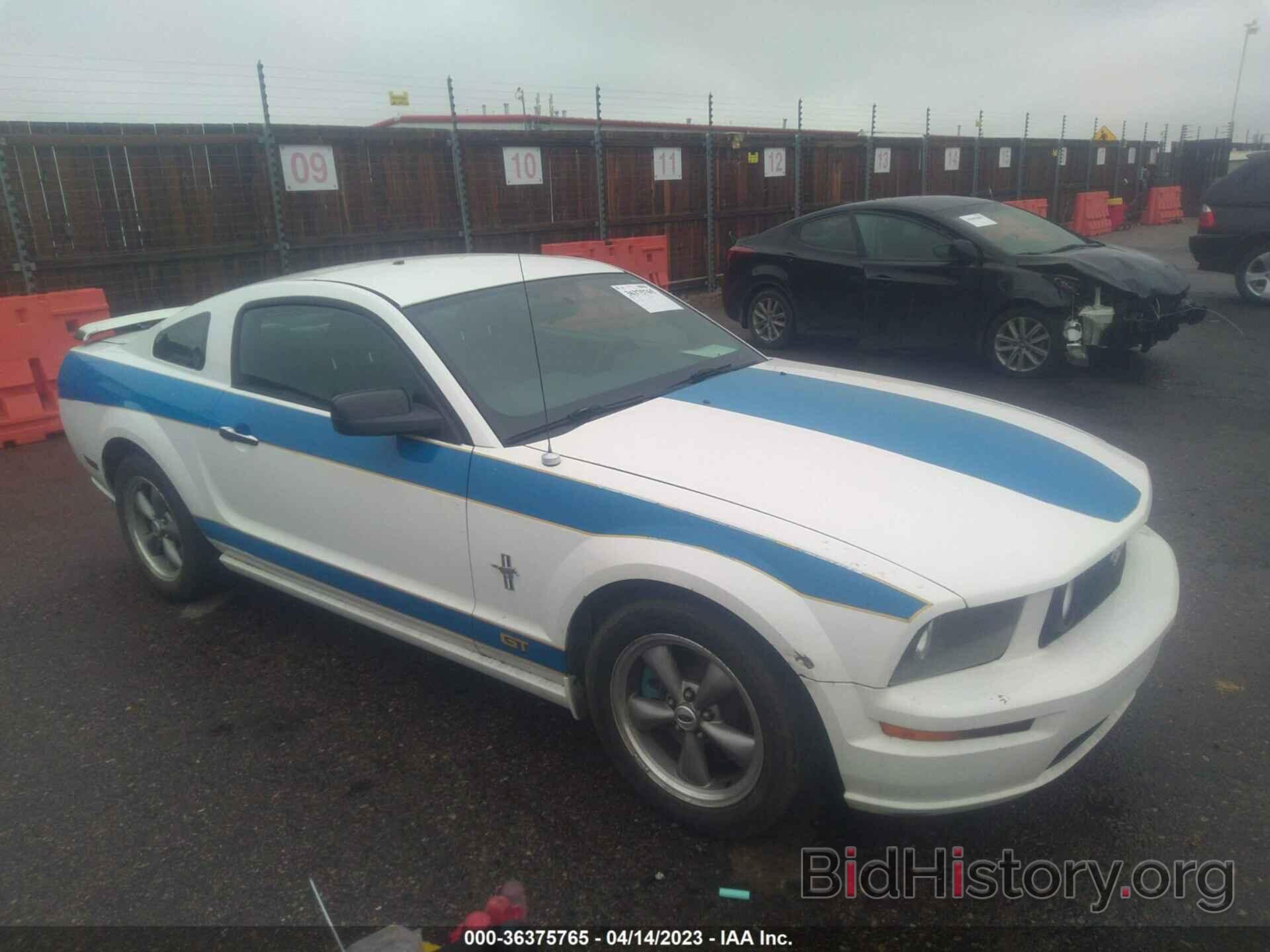 Photo 1ZVFT82H665126262 - FORD MUSTANG 2006