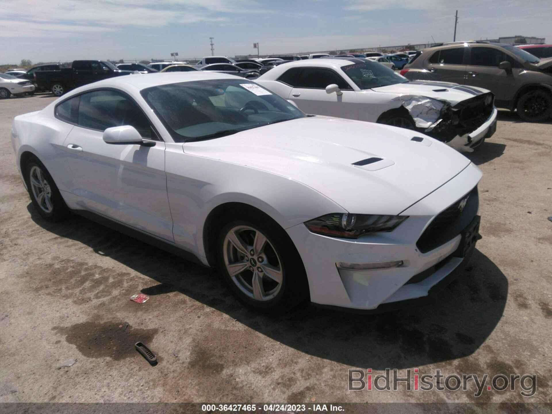 Photo 1FA6P8TH4L5176553 - FORD MUSTANG 2020