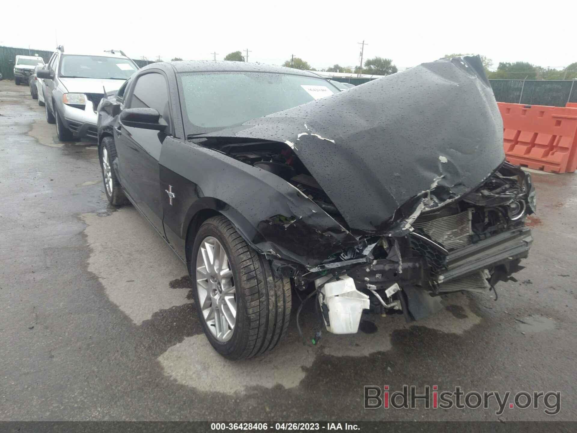 Photo 1ZVBP8AM6D5215182 - FORD MUSTANG 2013