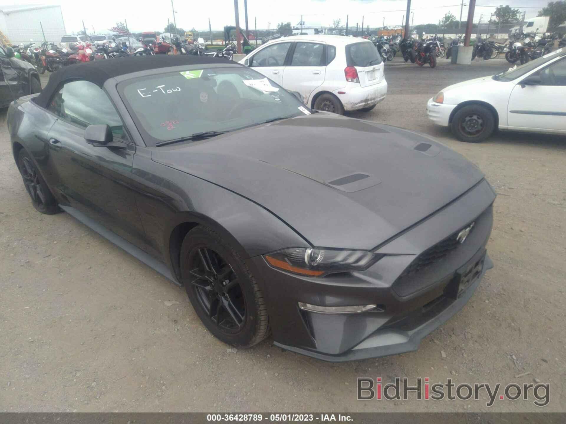 Photo 1FATP8UH5K5170180 - FORD MUSTANG 2019