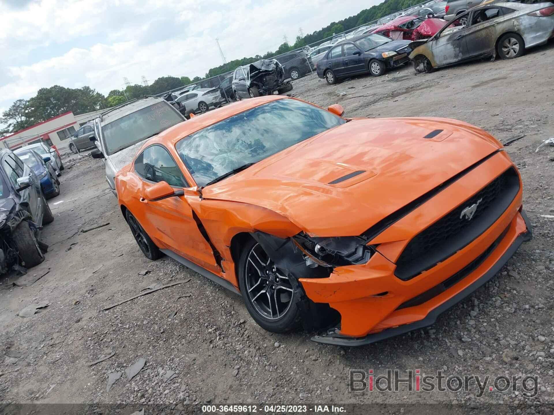 Photo 1FA6P8TH3L5189147 - FORD MUSTANG 2020