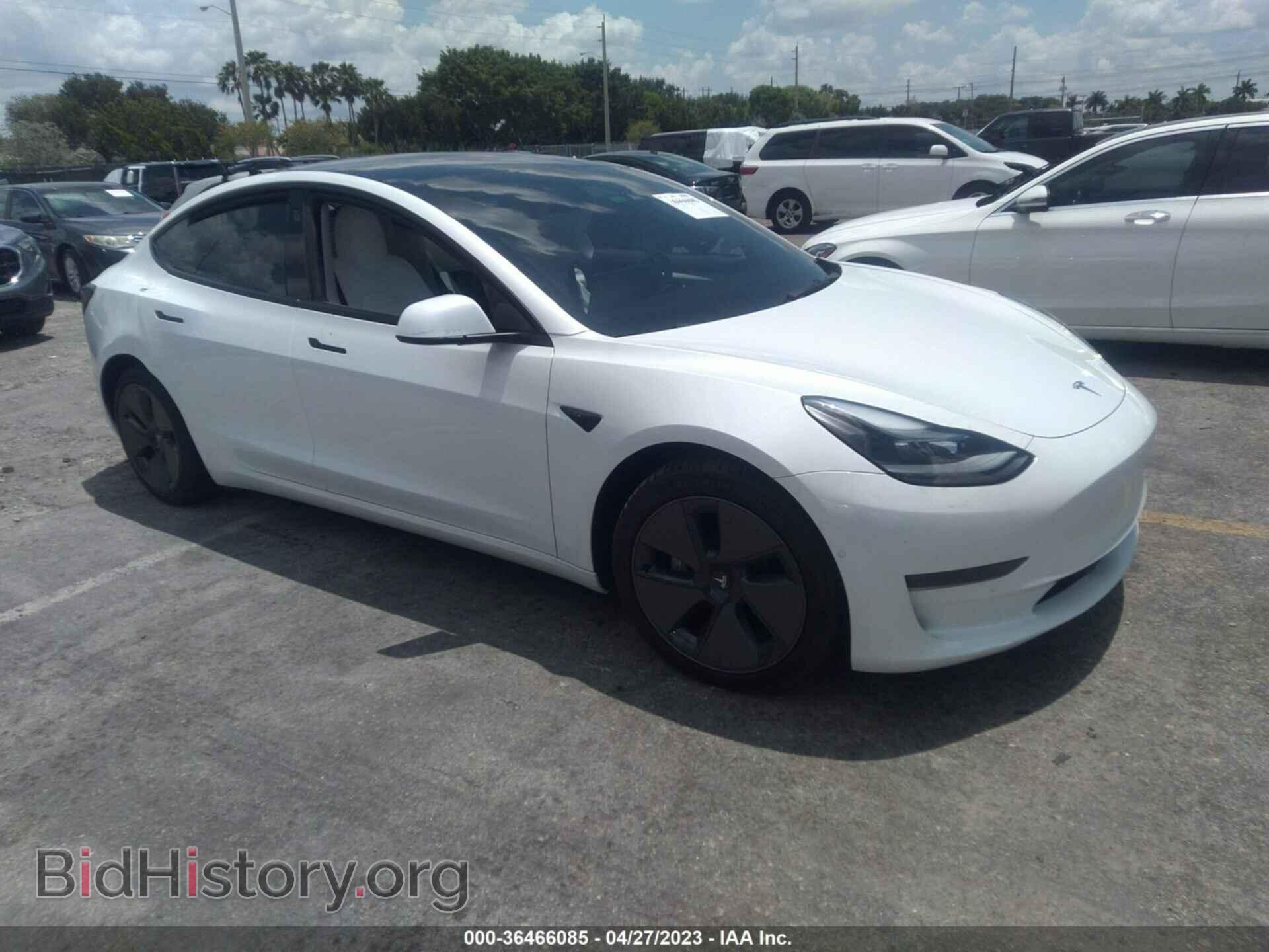 Photo 5YJ3E1EA5MF093238 - TESLA MODEL 3 2021