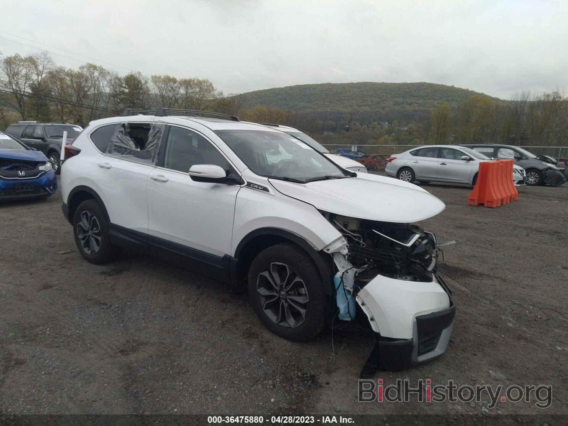 Photo 7FARW2H89ME003163 - HONDA CR-V 2021