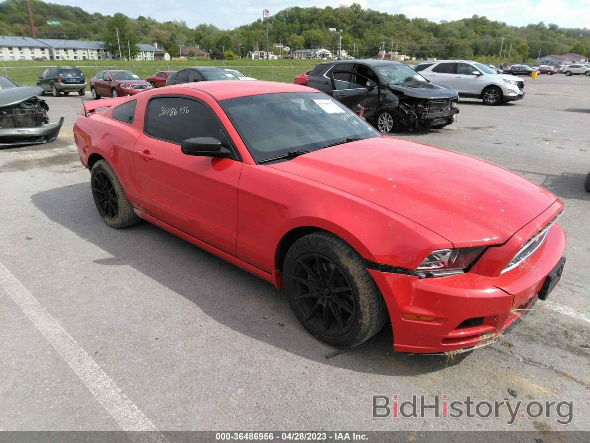 Photo 1ZVBP8AM3D5218136 - FORD MUSTANG 2013