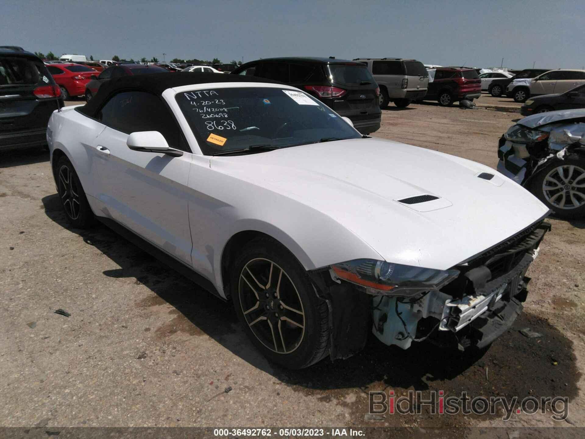 Photo 1FATP8UH9K5138638 - FORD MUSTANG 2019