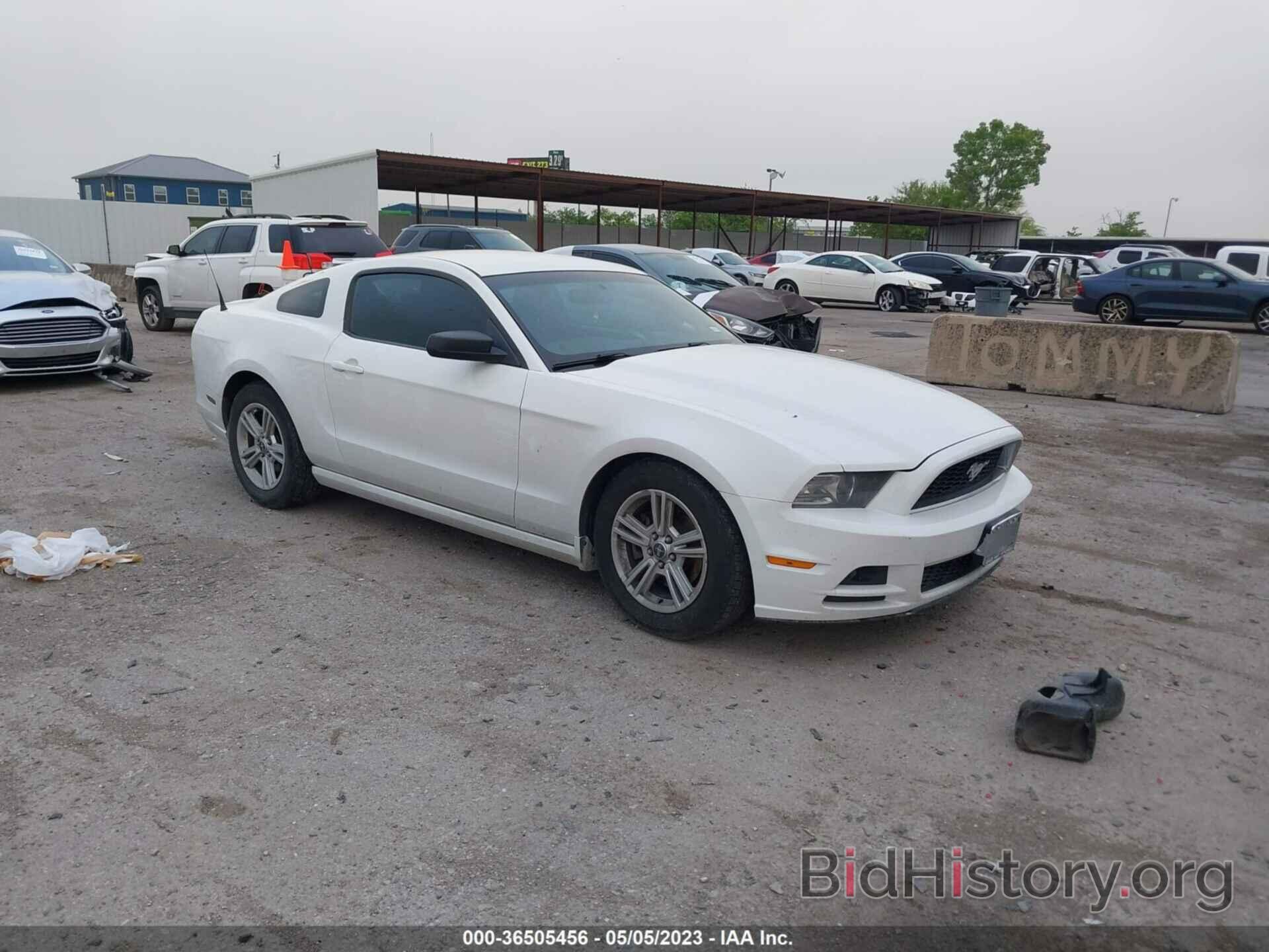Photo 1ZVBP8AM3E5280914 - FORD MUSTANG 2014