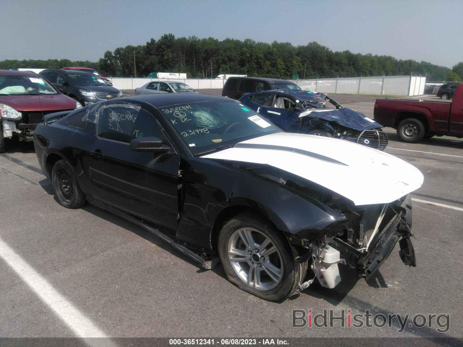 Photo 1ZVBP8AM3C5231998 - FORD MUSTANG 2012