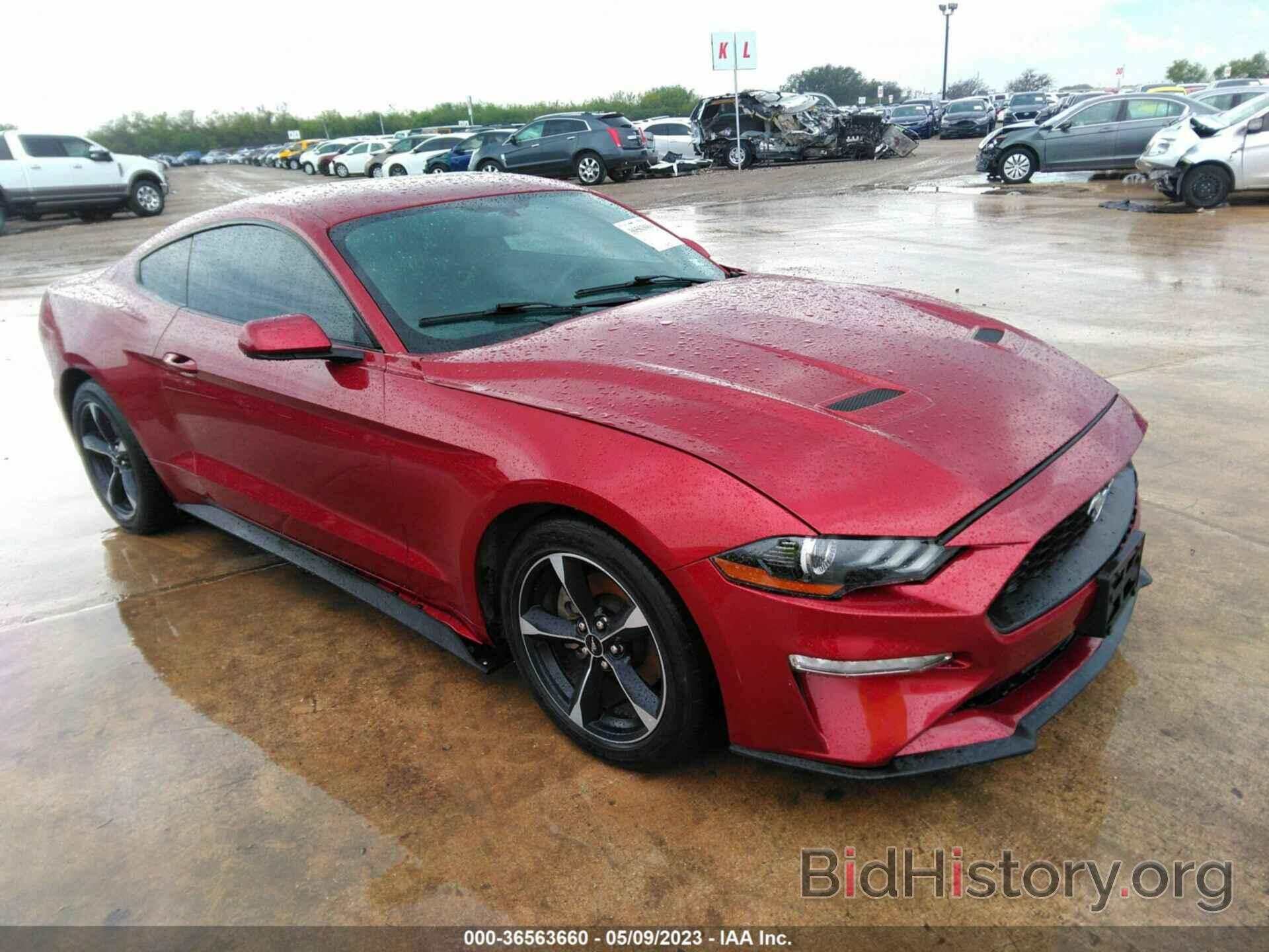 Photo 1FA6P8TH8K5181088 - FORD MUSTANG 2019