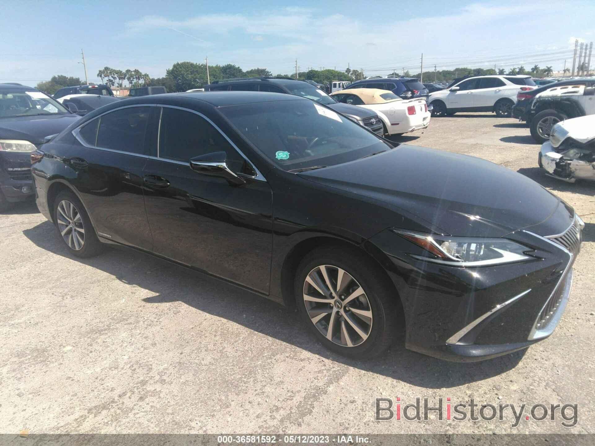 Photo 58AD21B12LU006665 - LEXUS ES 2020