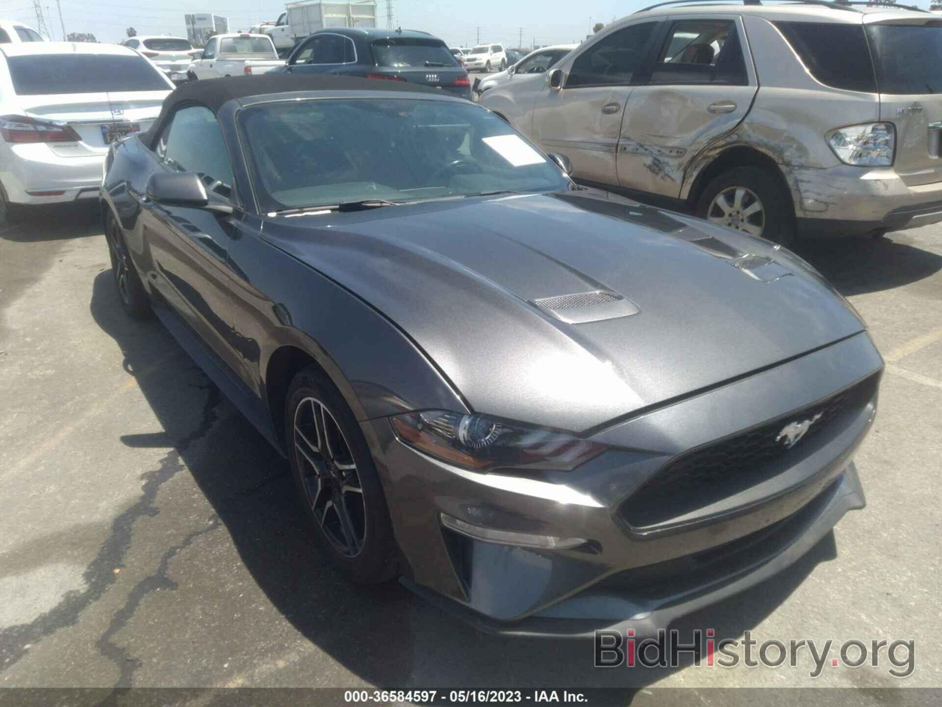 Photo 1FATP8UHXK5151429 - FORD MUSTANG 2019