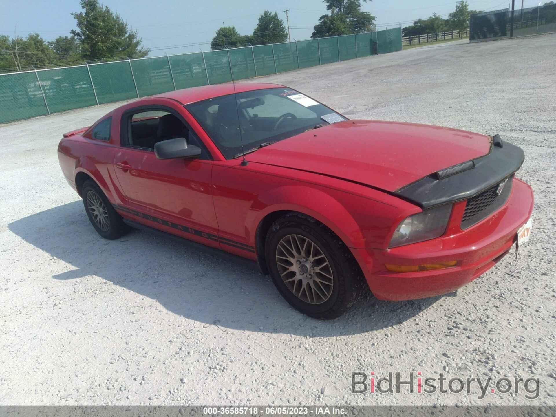 Photo 1ZVFT80N475281676 - FORD MUSTANG 2007