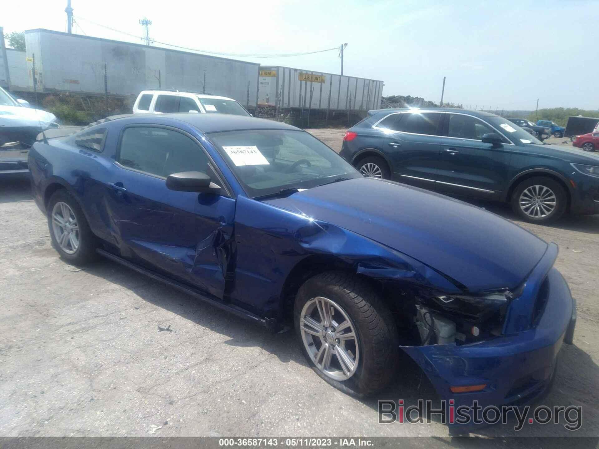 Photo 1ZVBP8AM1D5249112 - FORD MUSTANG 2013
