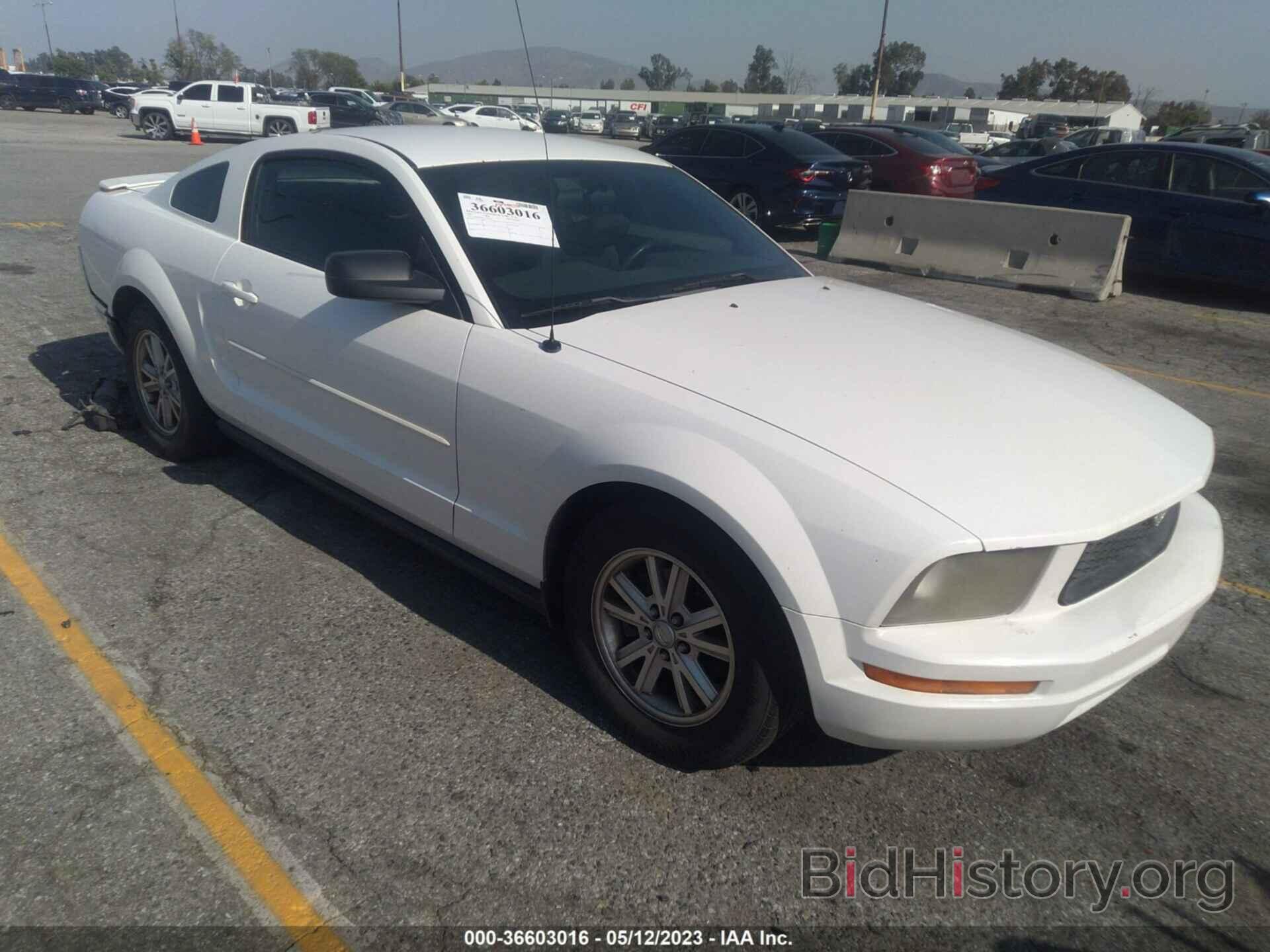 Photo 1ZVFT80N575297711 - FORD MUSTANG 2007