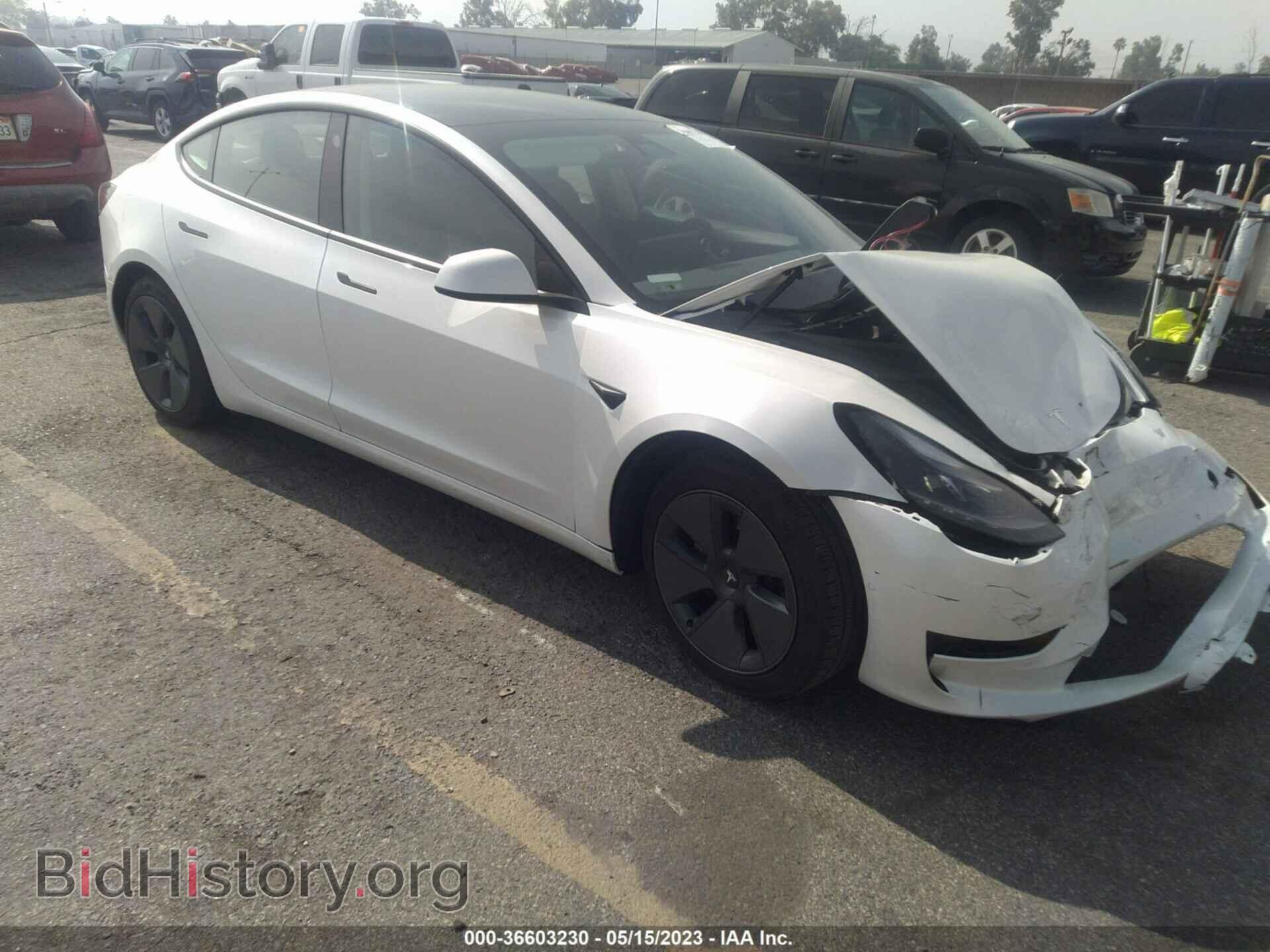 Photo 5YJ3E1EA2MF871060 - TESLA MODEL 3 2021