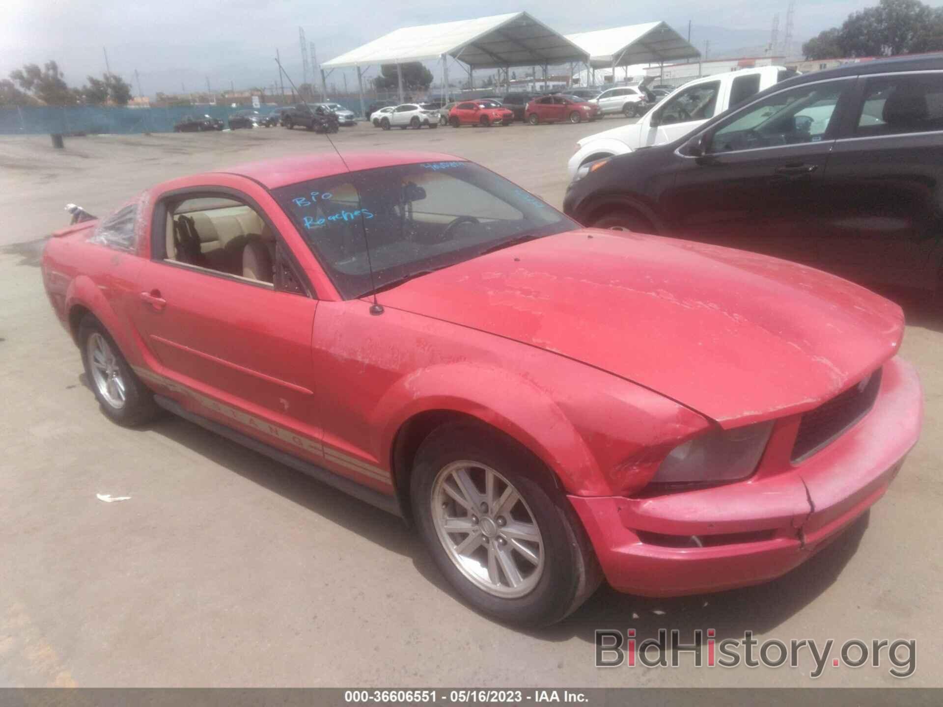 Photo 1ZVFT80N375352317 - FORD MUSTANG 2007