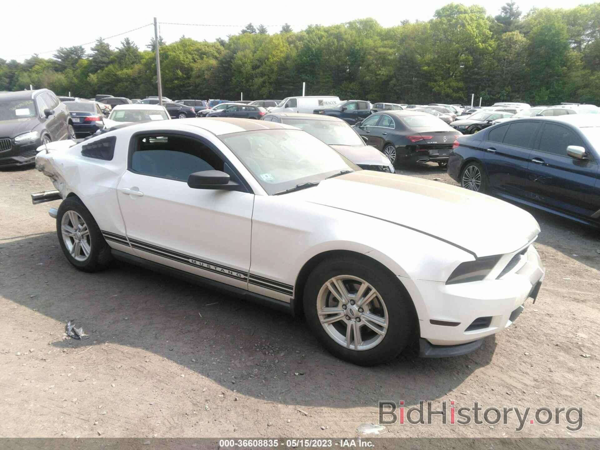 Photo 1ZVBP8AM6C5287899 - FORD MUSTANG 2012