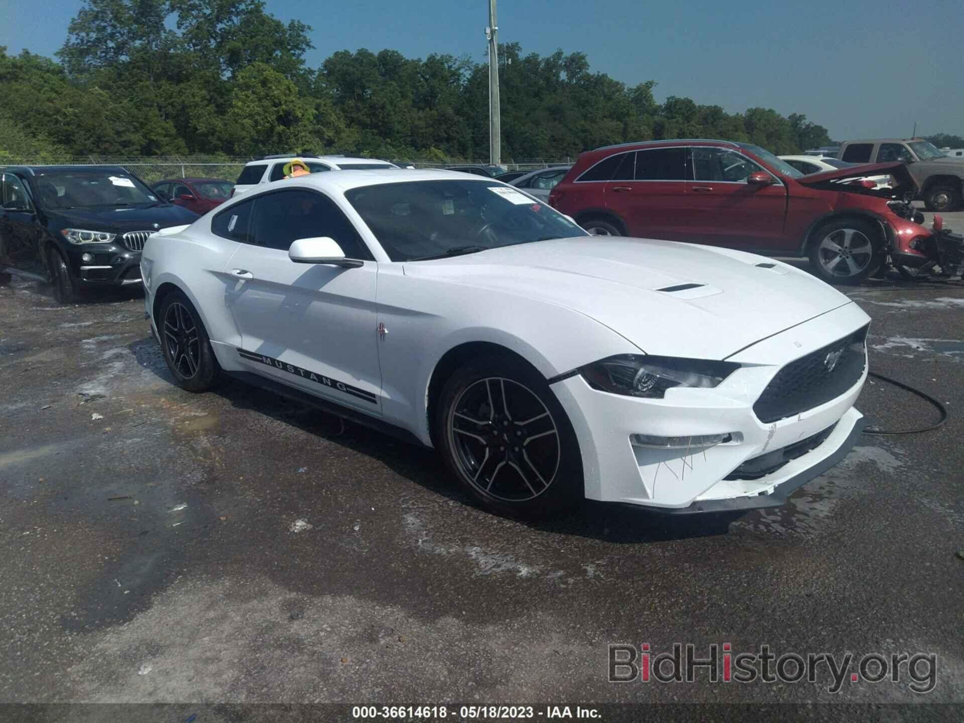 Photo 1FA6P8TH5M5102883 - FORD MUSTANG 2021