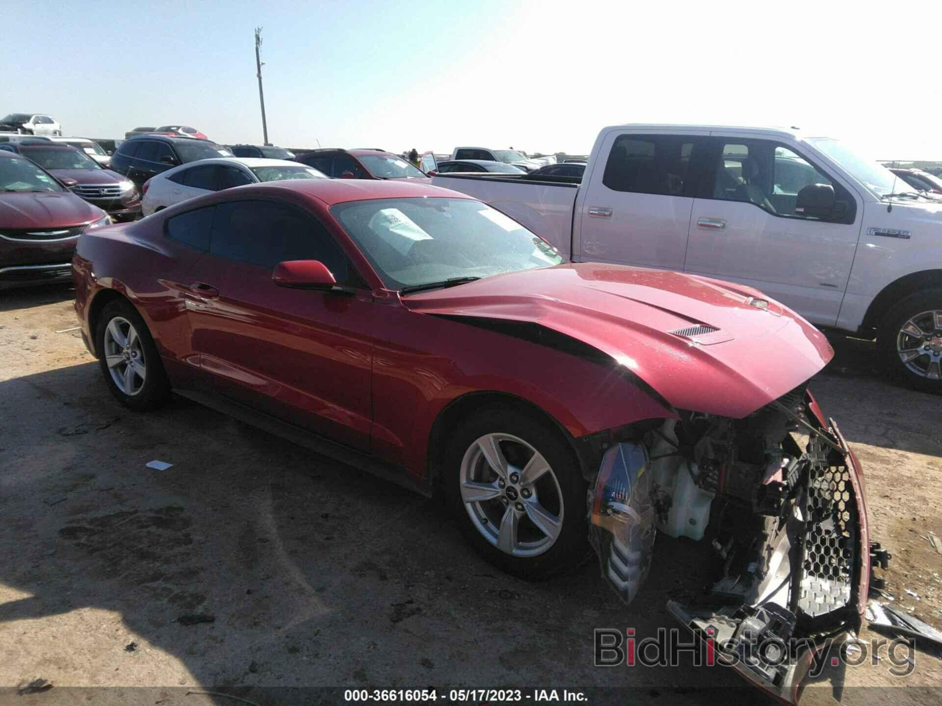 Photo 1FA6P8TH7L5114063 - FORD MUSTANG 2020