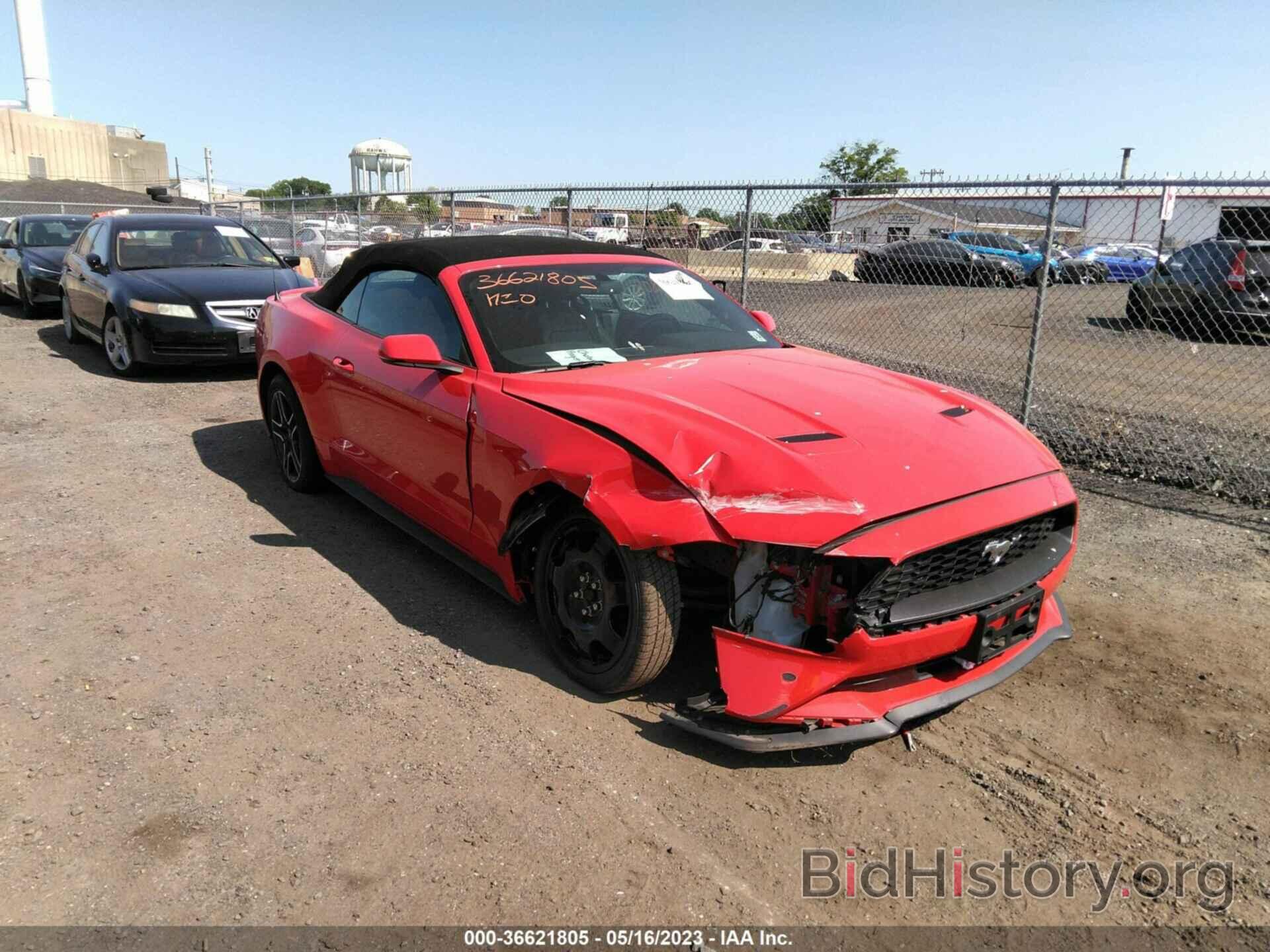 Photo 1FATP8UHXK5181773 - FORD MUSTANG 2019