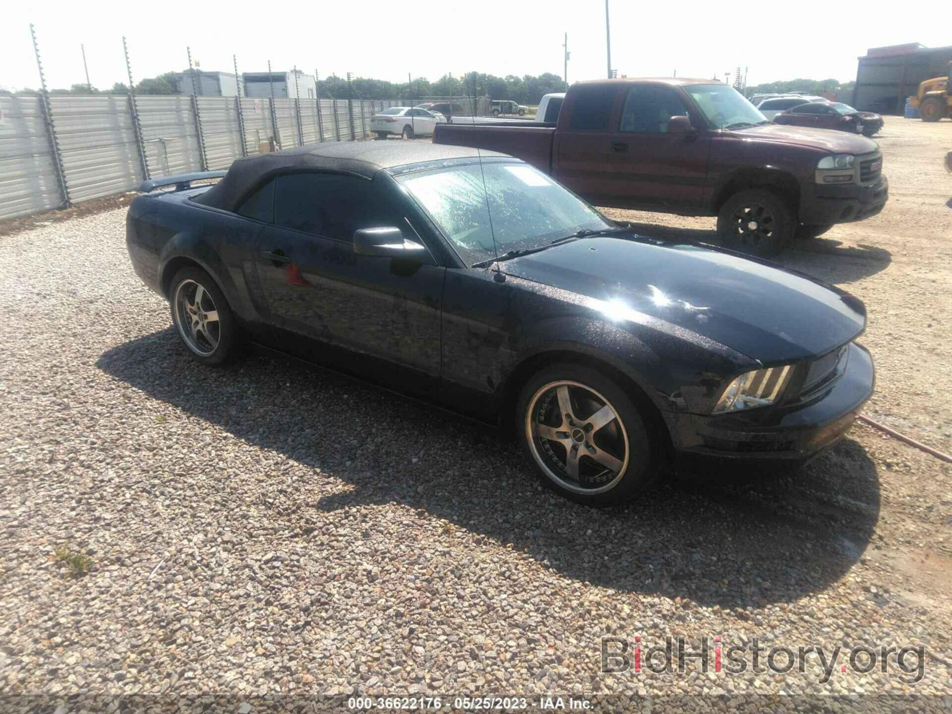 Photo 1ZVFT84N965121205 - FORD MUSTANG 2006