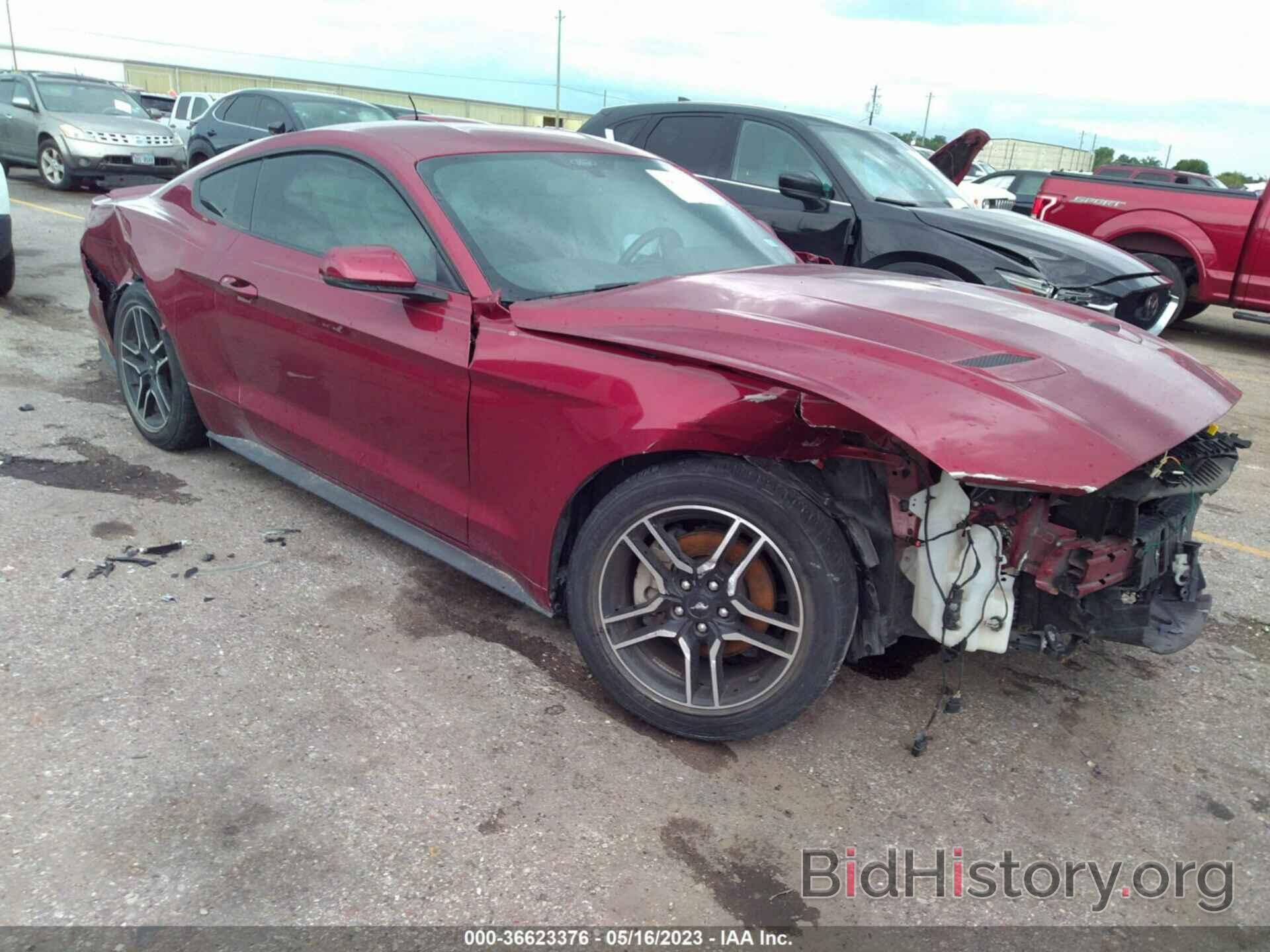 Photo 1FA6P8TH3K5204261 - FORD MUSTANG 2019