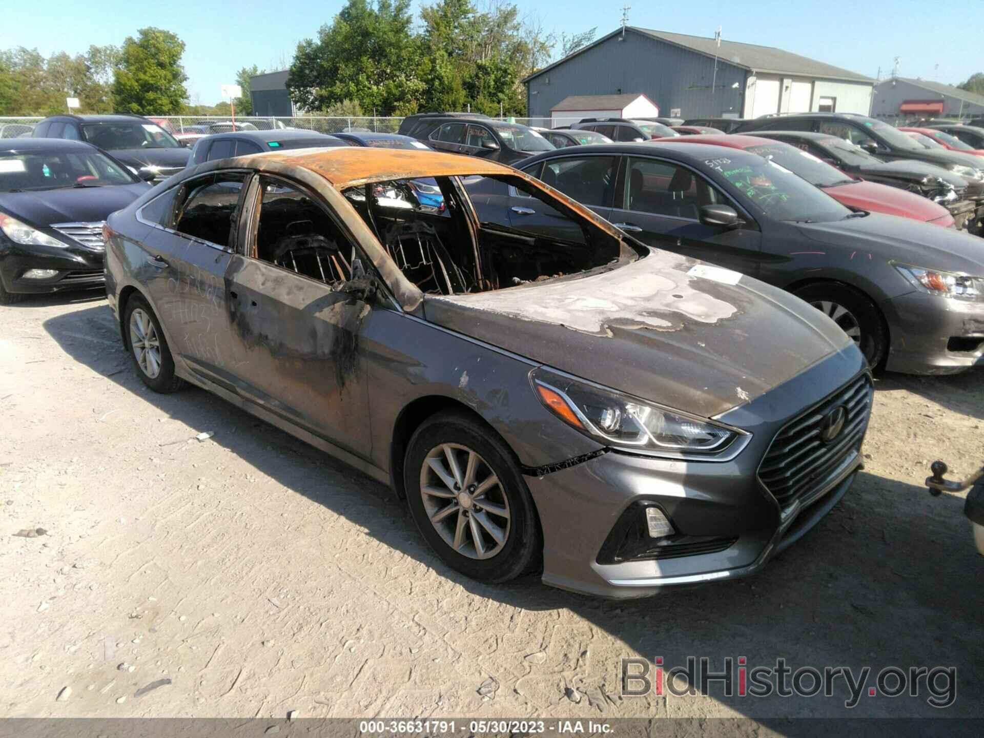 Photo 5NPE24AF2KH810634 - HYUNDAI SONATA 2019