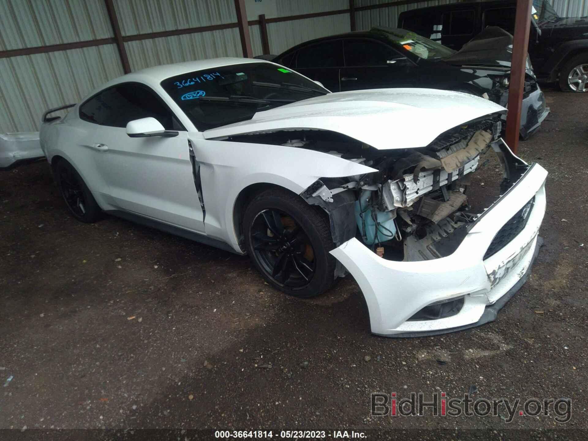 Photo 1FA6P8TH3F5302048 - FORD MUSTANG 2015