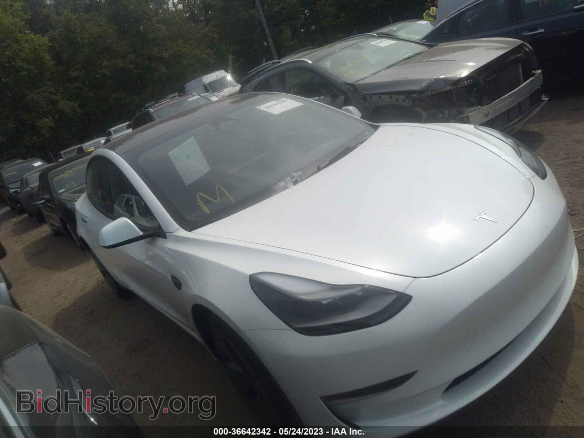 Photo 5YJ3E1EA0PF545312 - TESLA MODEL 3 2023