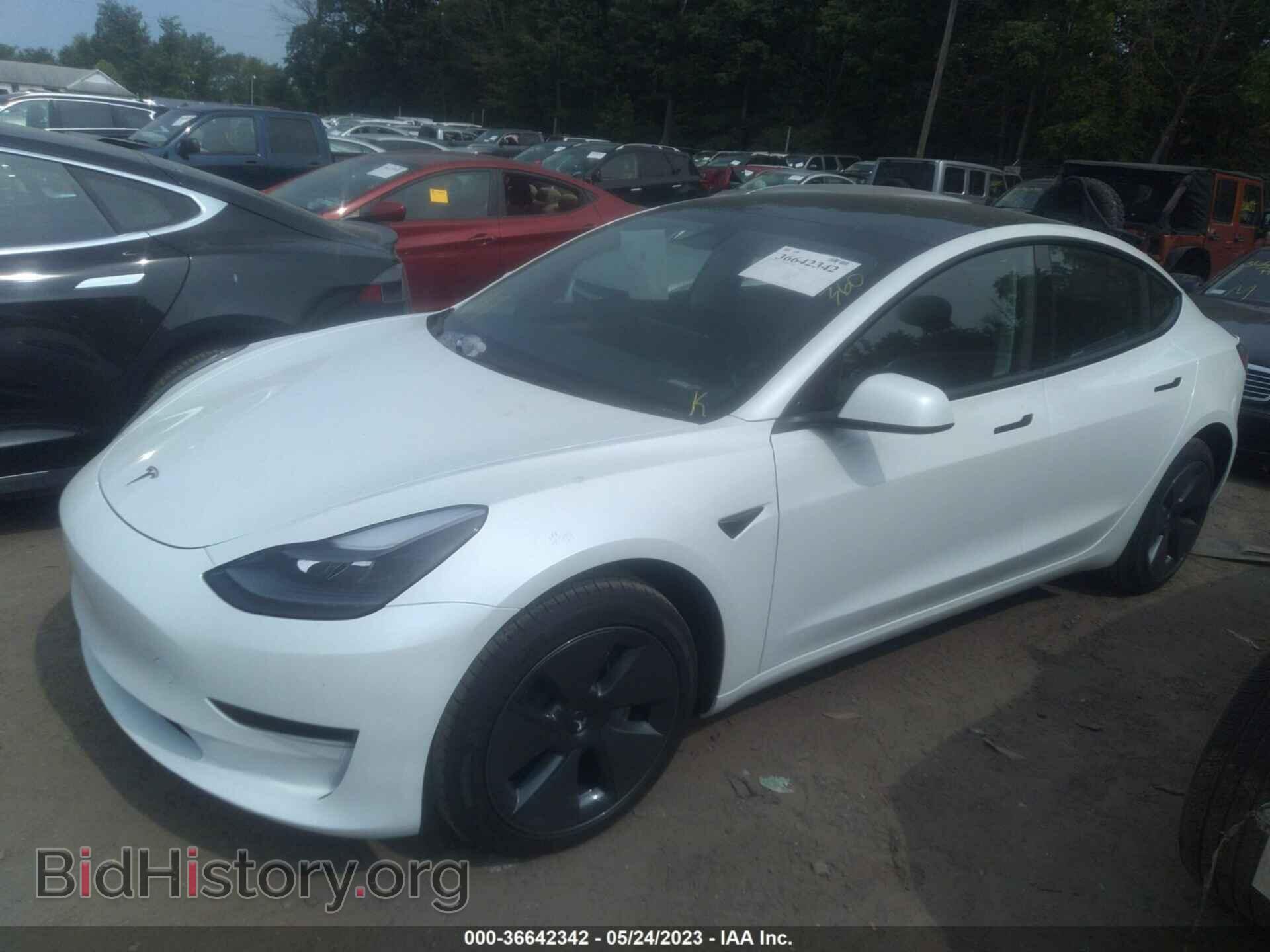 2023 TESLA MODEL 3 - VIN: 5YJ3E1EA0PF545312 - Фото 2