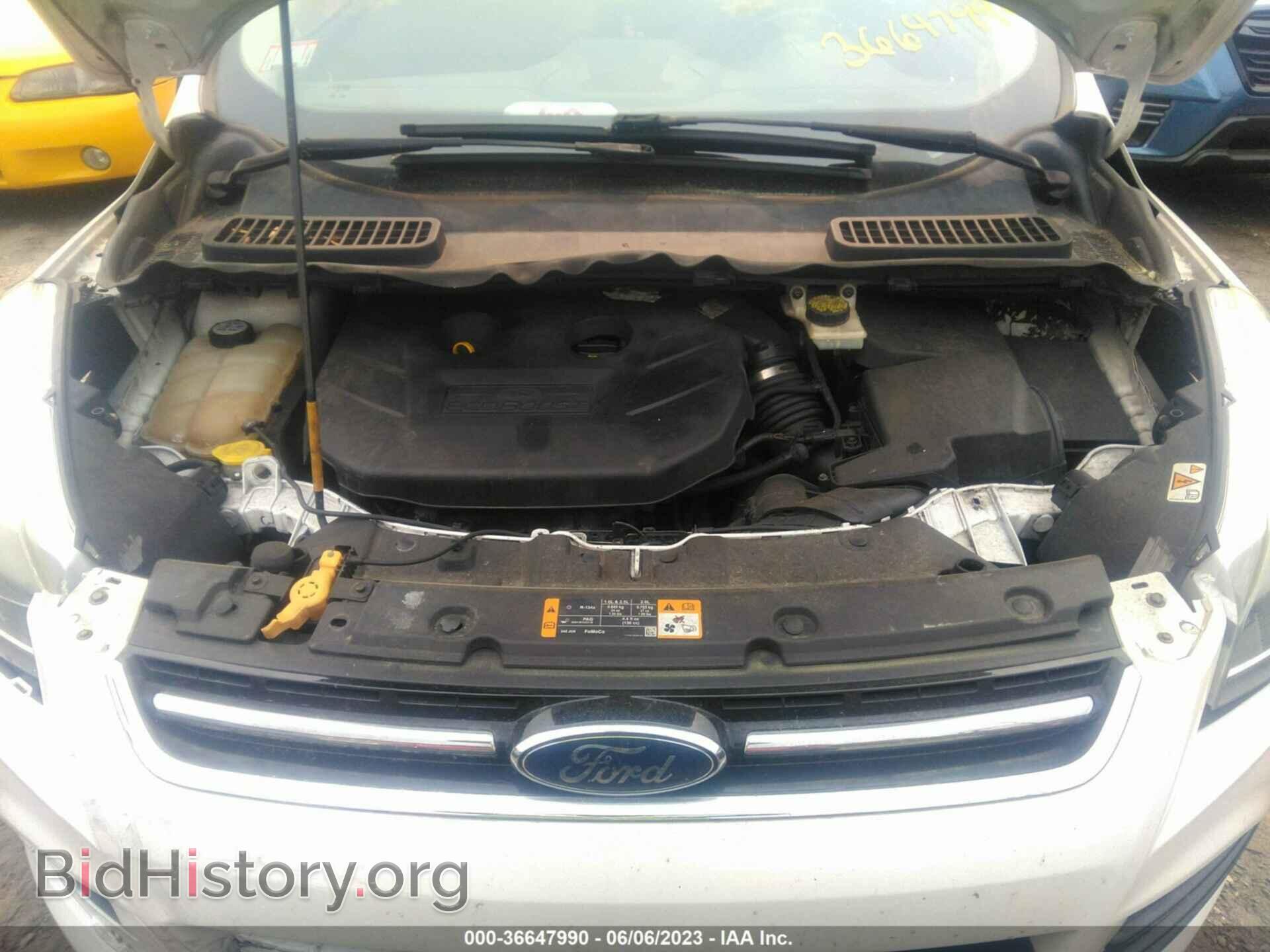 2013 FORD ESCAPE - VIN: 1FMCU9J99DUA45242 - Photo 10