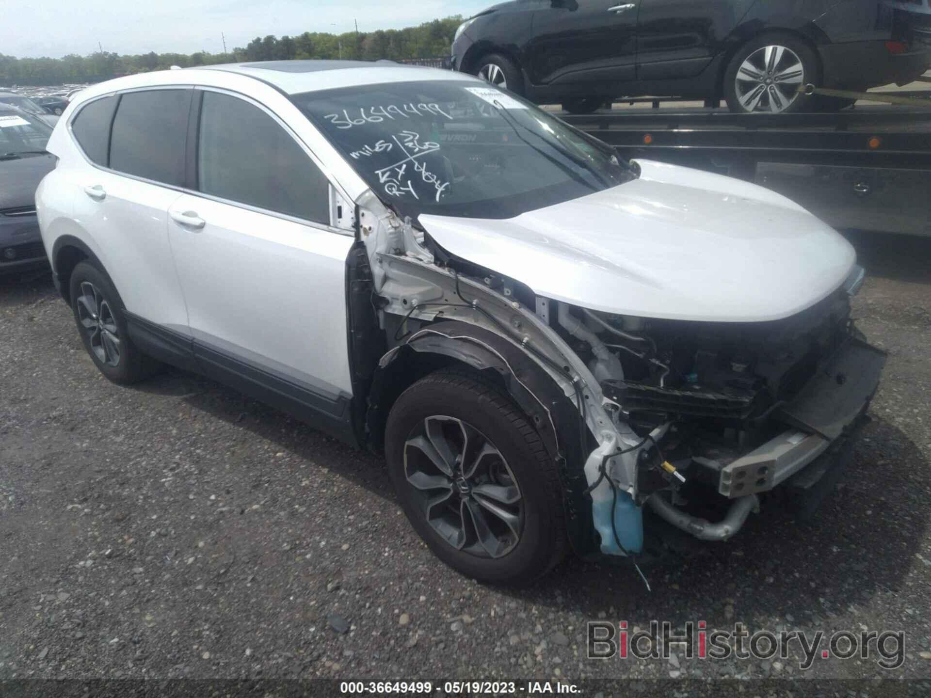 Photo 5J6RW2H54MA007612 - HONDA CR-V 2021