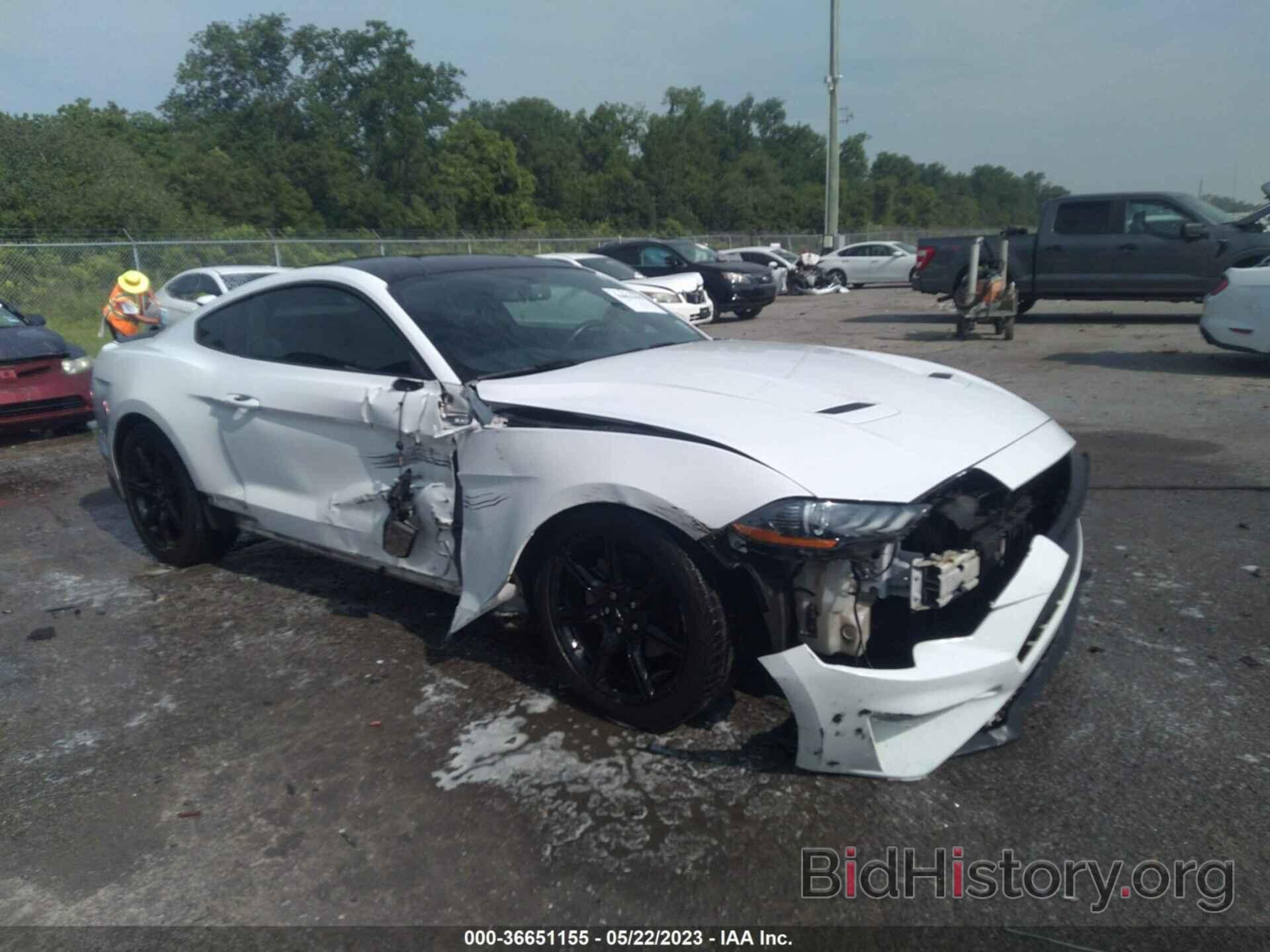 Photo 1FA6P8TH4K5116772 - FORD MUSTANG 2019