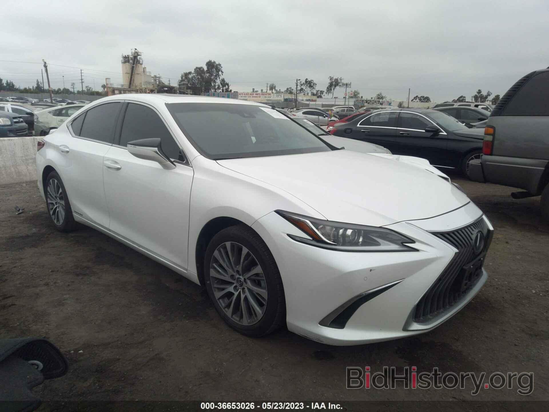 Photo 58ADA1C11MU005171 - LEXUS ES 2021