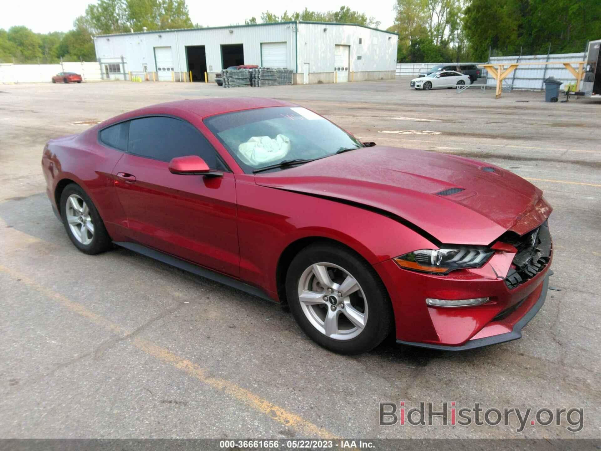 Photo 1FA6P8TH7K5204621 - FORD MUSTANG 2019