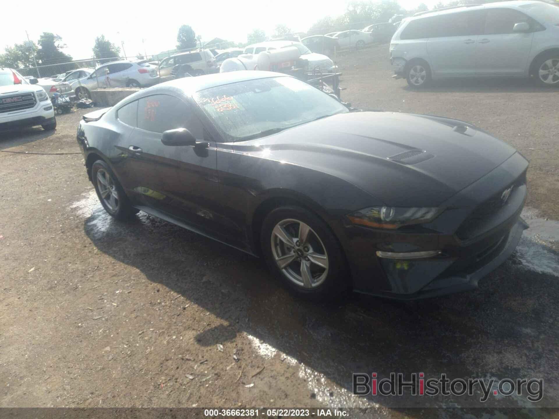 Photo 1FA6P8TH7P5101495 - FORD MUSTANG 2023